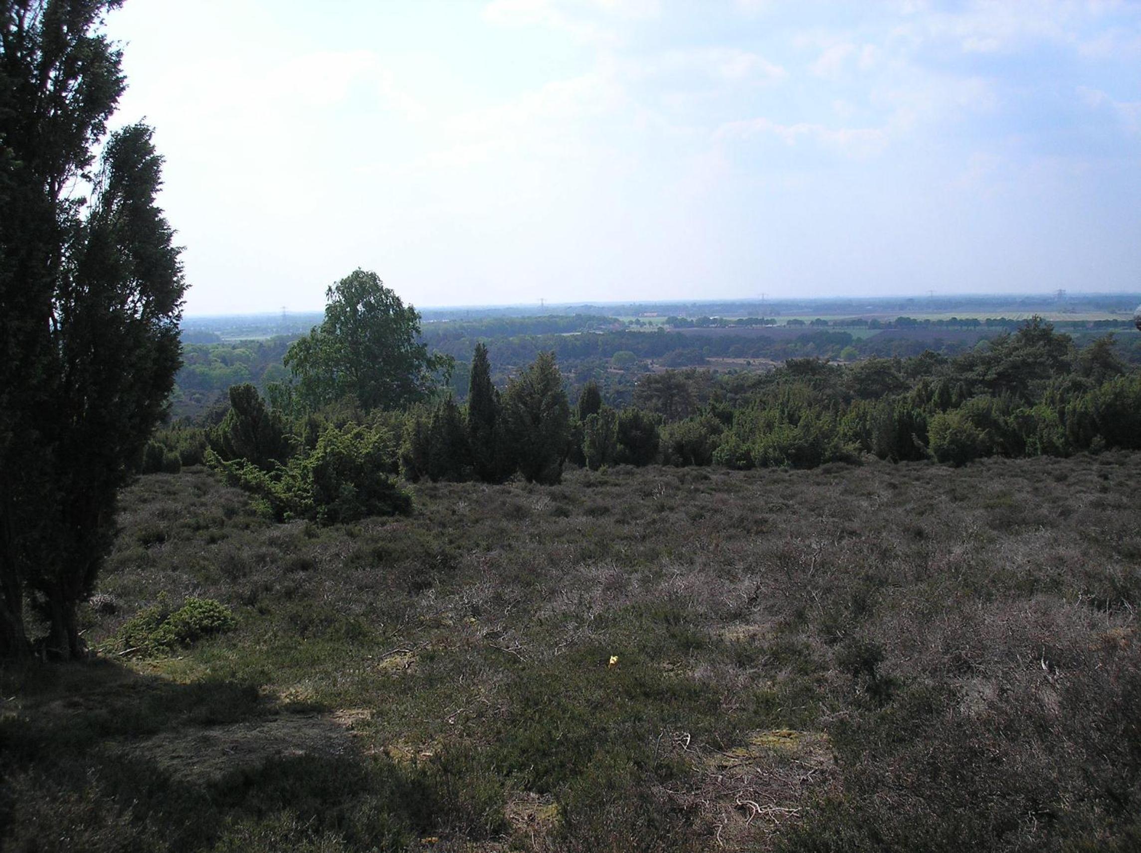 Photo 36