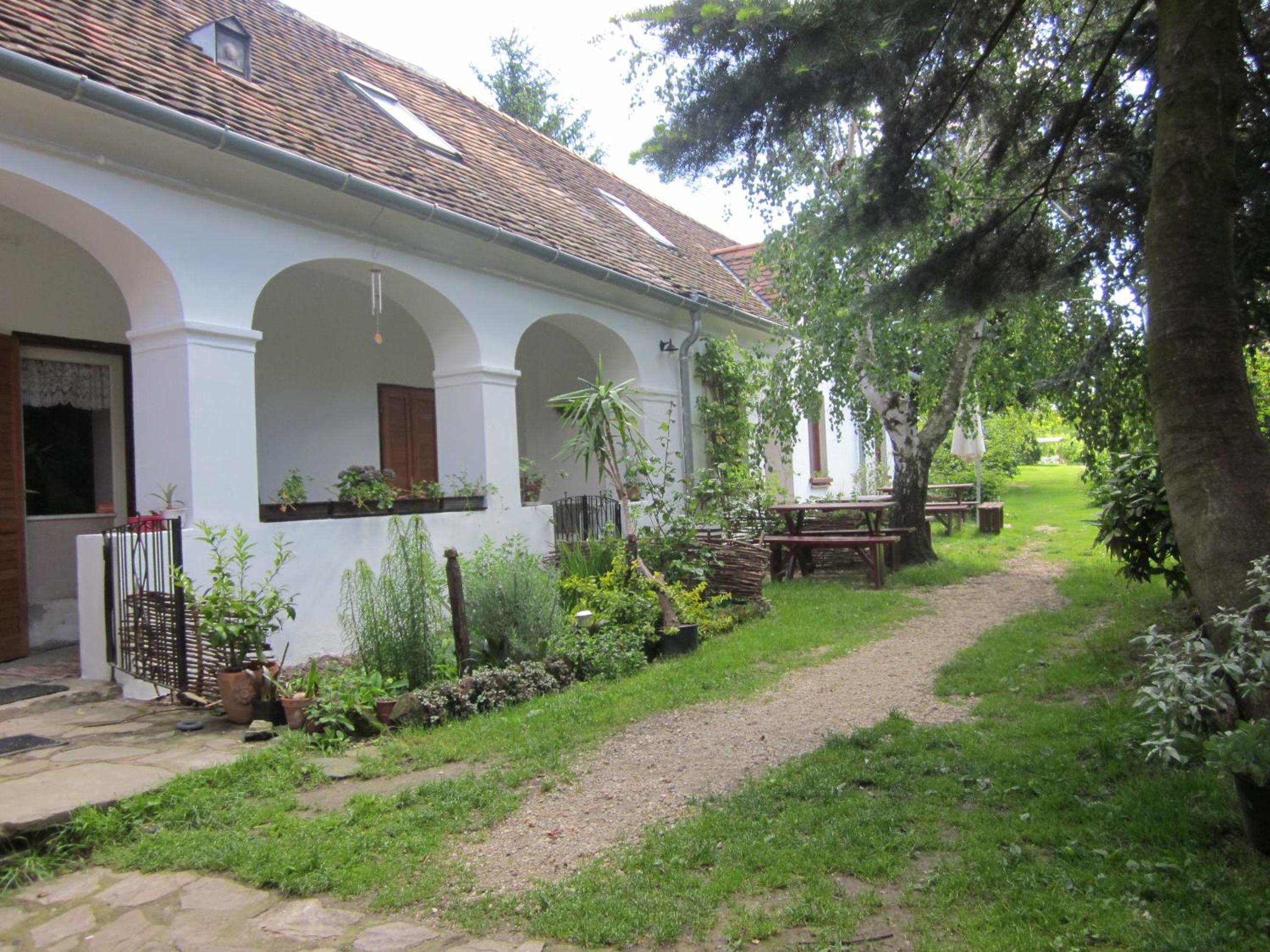 Photo 11
