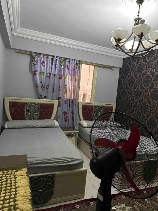 Vip apt beautiful and amazing vi
