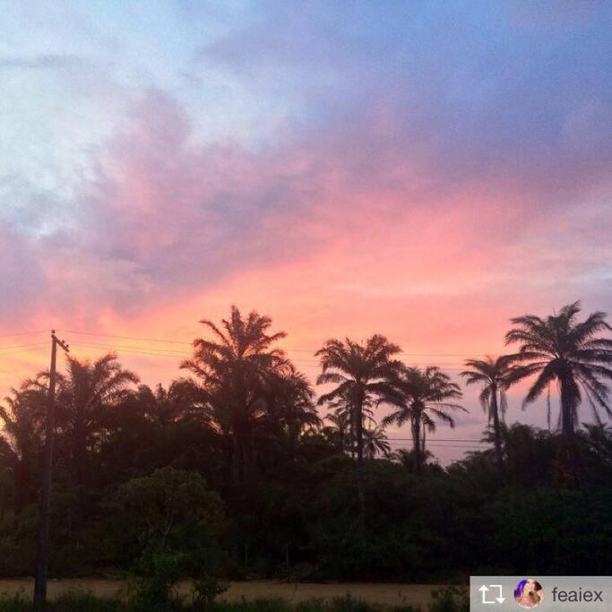 Flat Jardins à 150m da praiada Bombaça