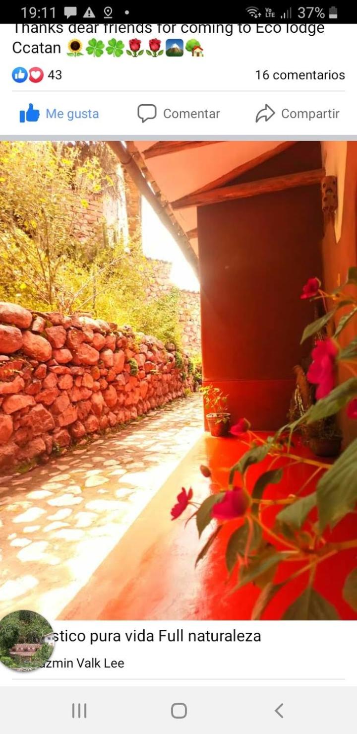 EColodge Ccatan, photo 91