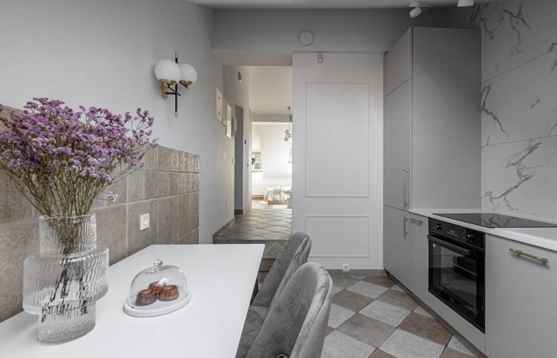 Traku street Apartment in Vilnius view 2