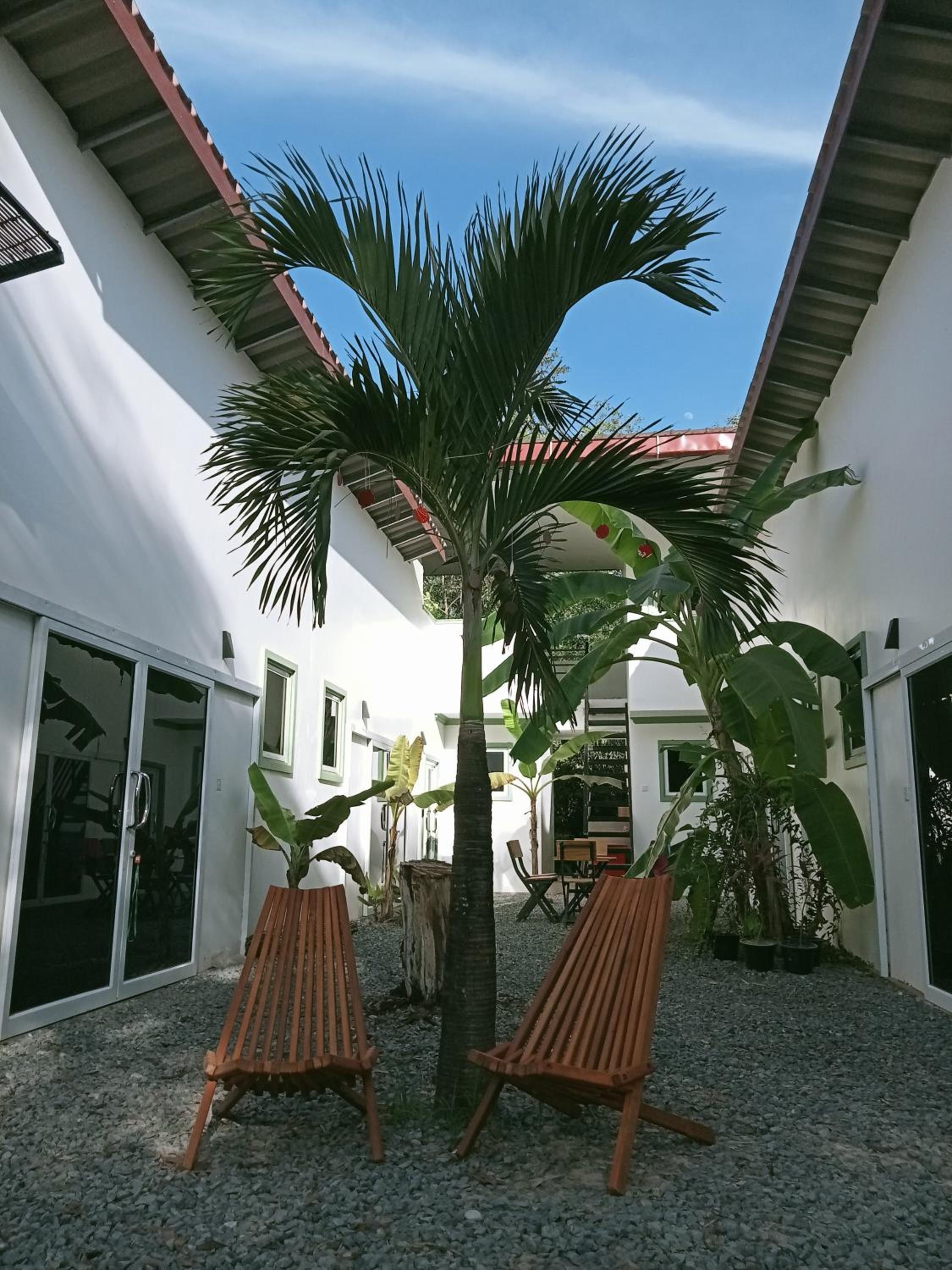 Little Escape Guesthouse Nesat view 5