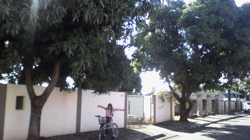 Aconchego Lar Cama e Café