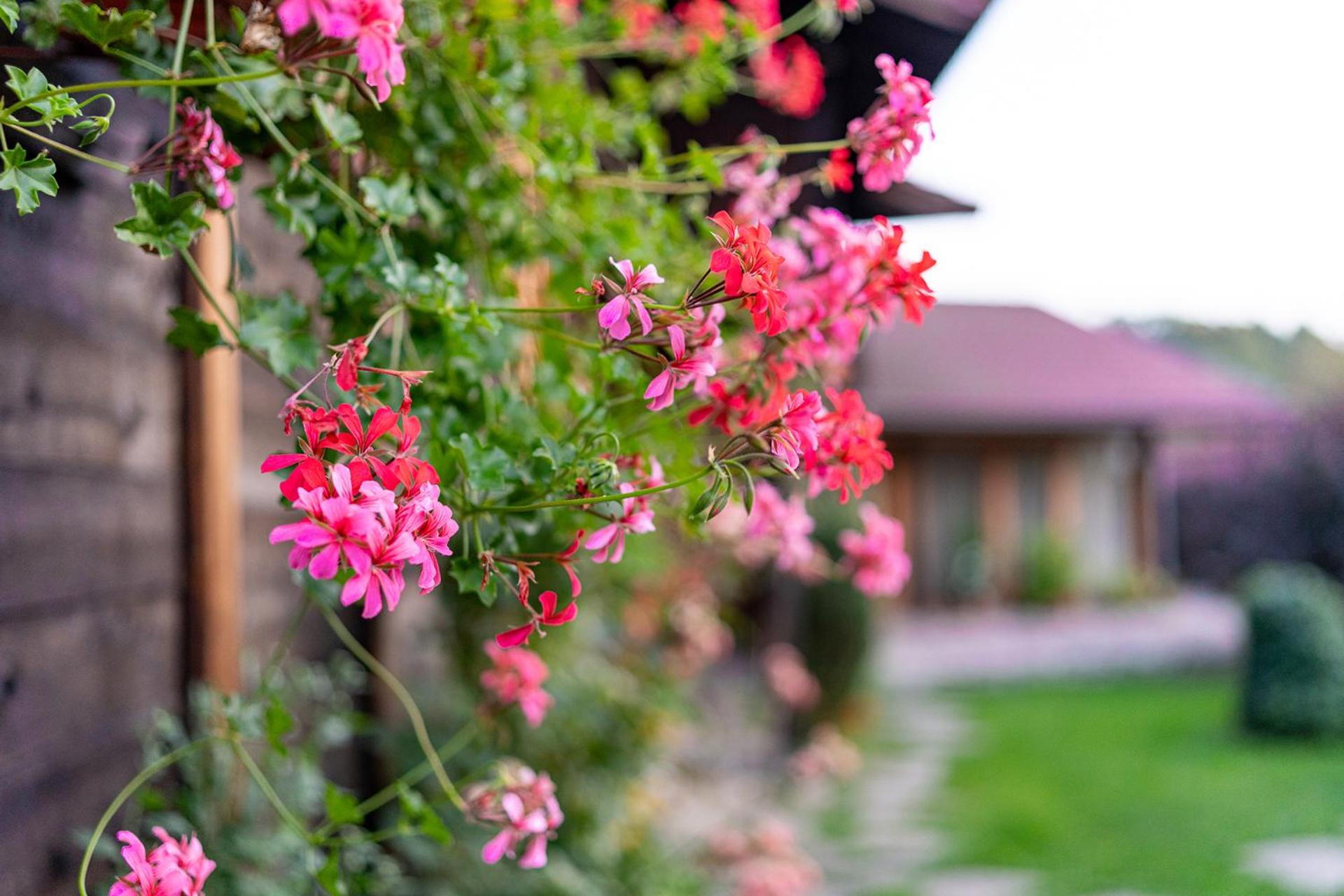 Kandaphery Guest Houses