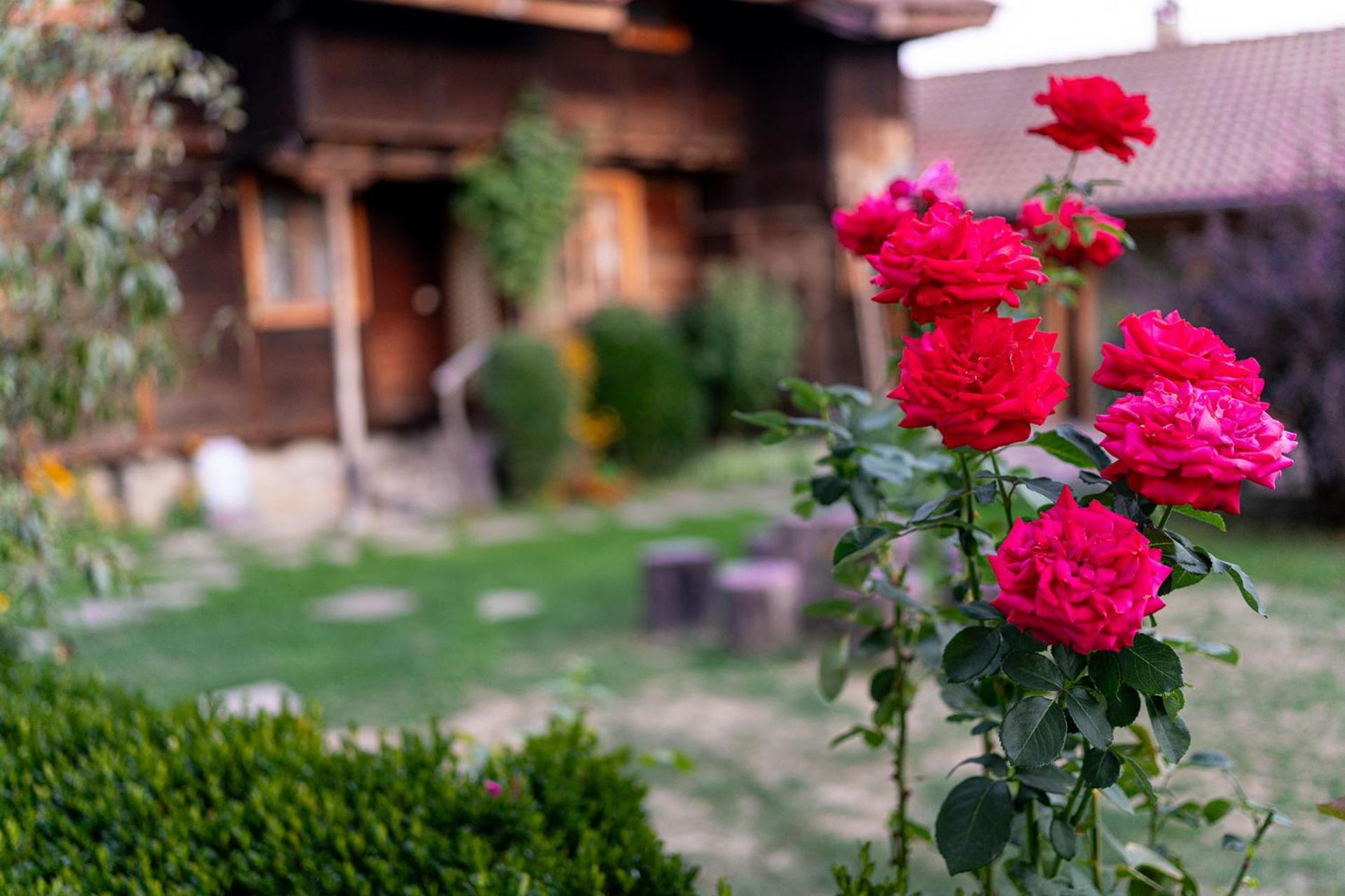 Kandaphery Guest Houses