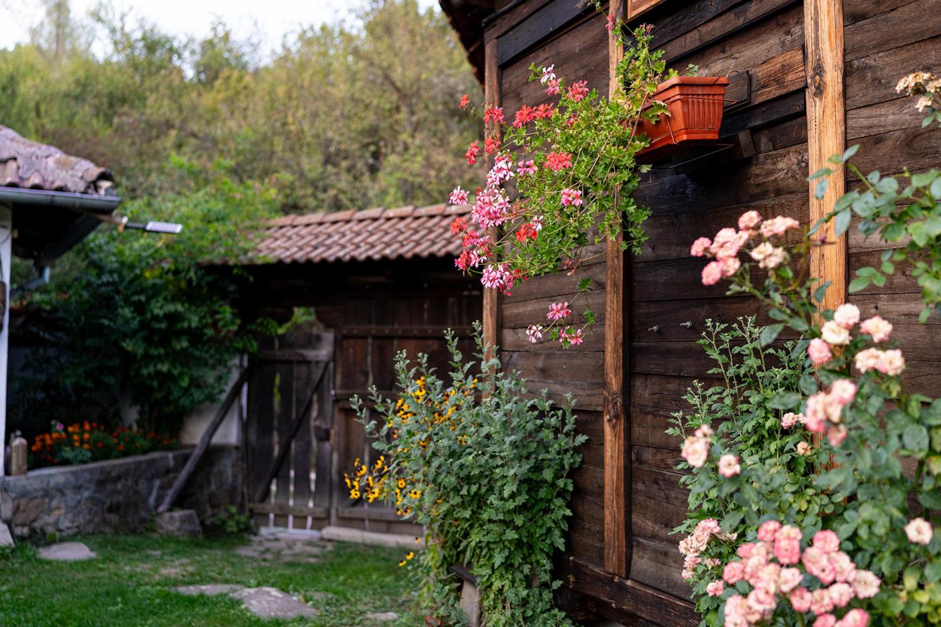 Kandaphery Guest Houses