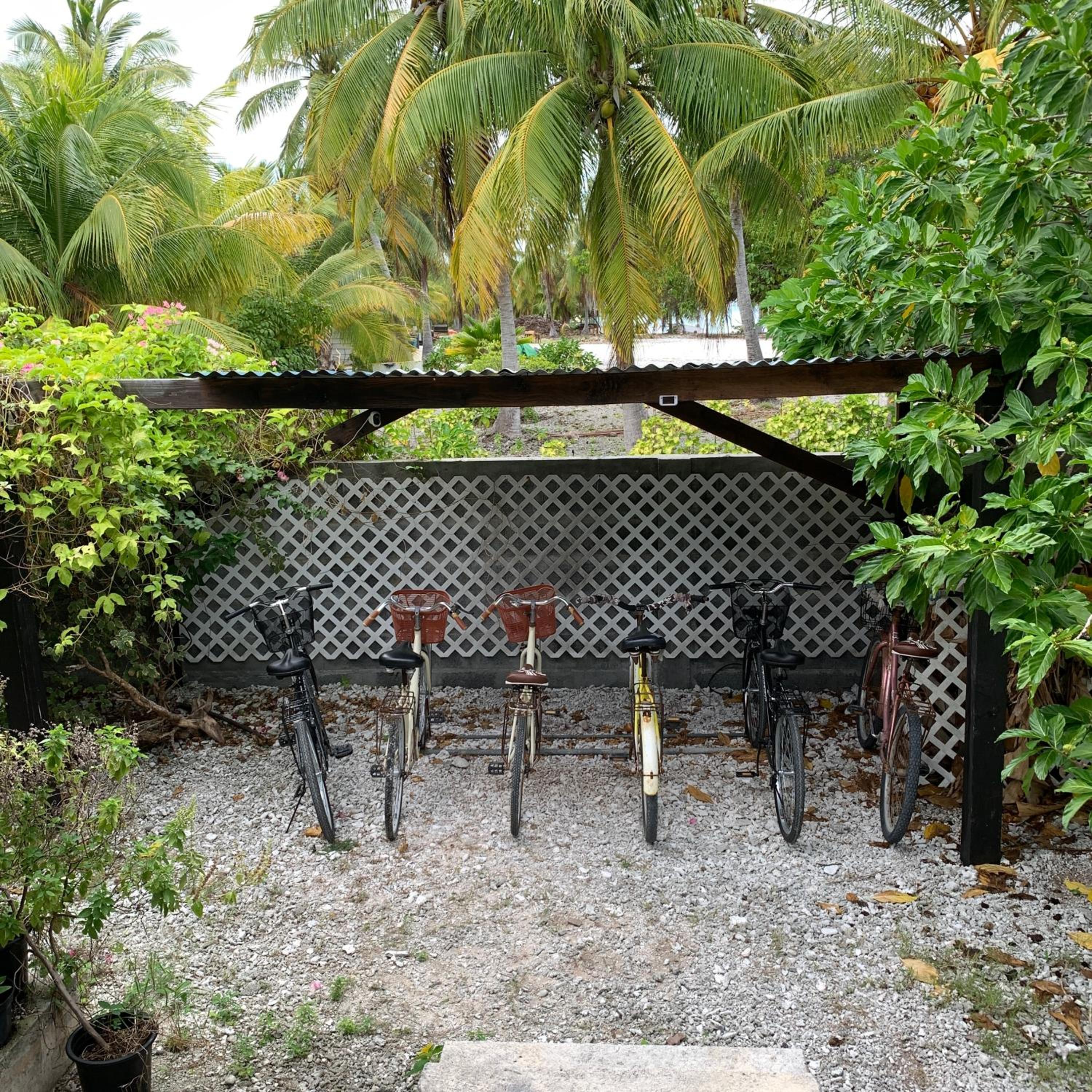 LE FARE eco Chambres d'hôtes en bord de lagon à Tiputa Rangiroa - vélos gratuits et snorkeling view 4