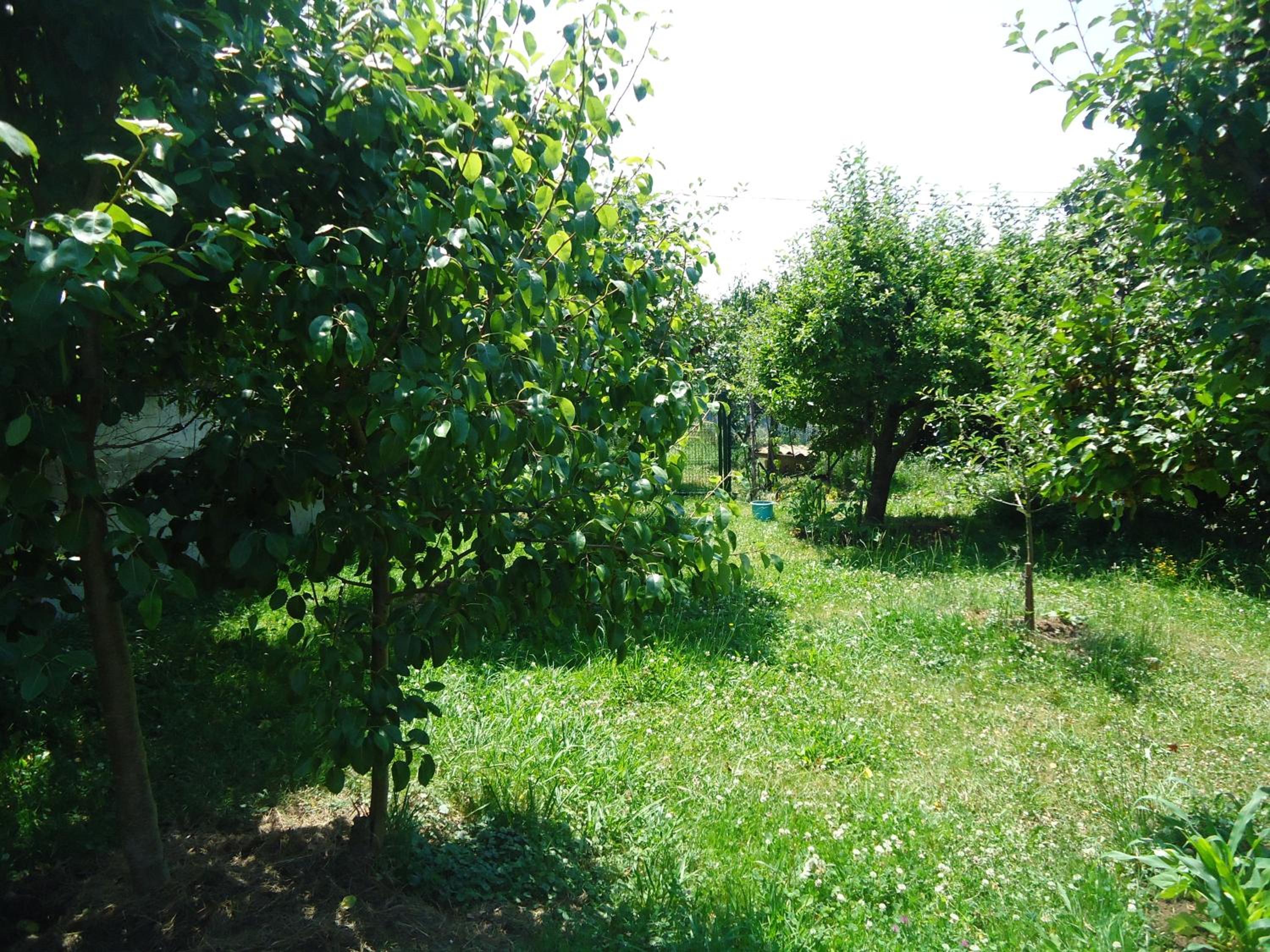 Montañes