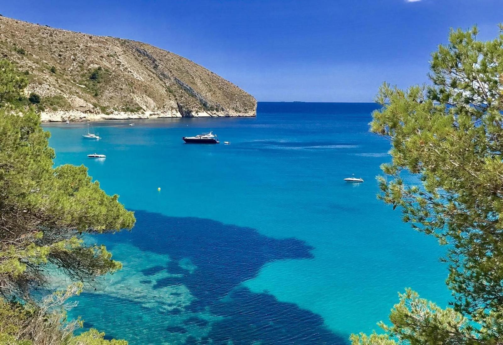 Robis Moraira