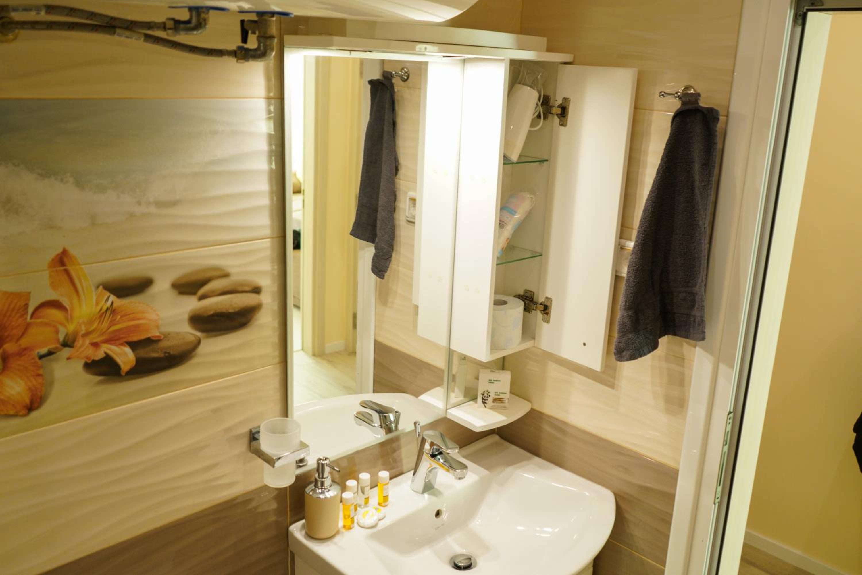 GRAND APARTMENT BOGORIDI - top center near to sea and sea garden