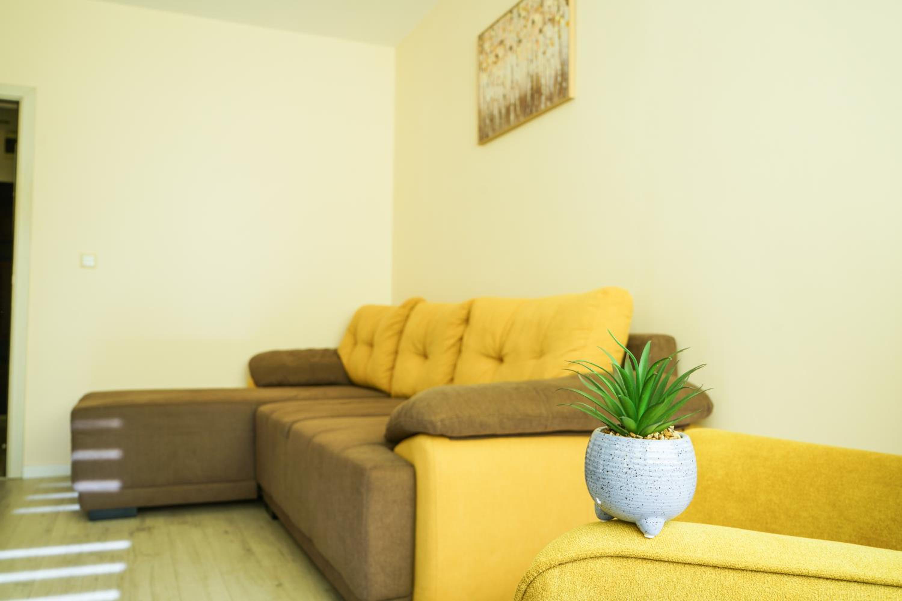 GRAND APARTMENT BOGORIDI - top center near to sea and sea garden