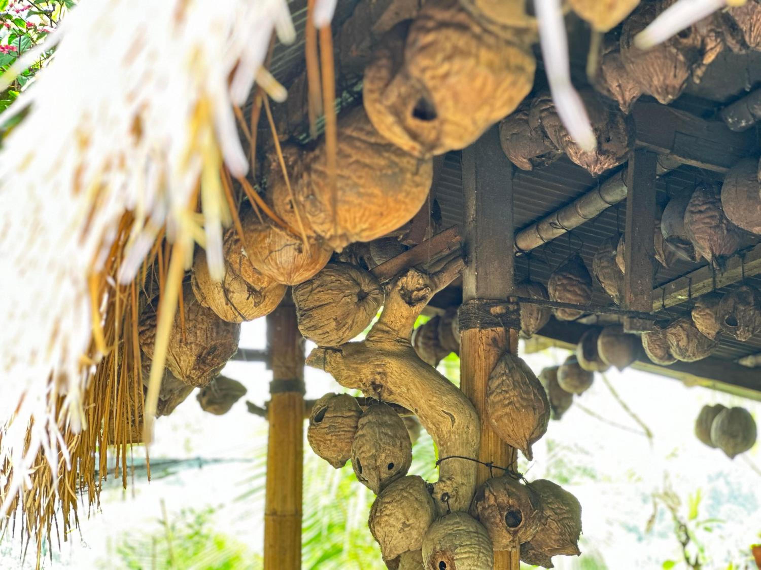 Nang Taro Home Stay view 2