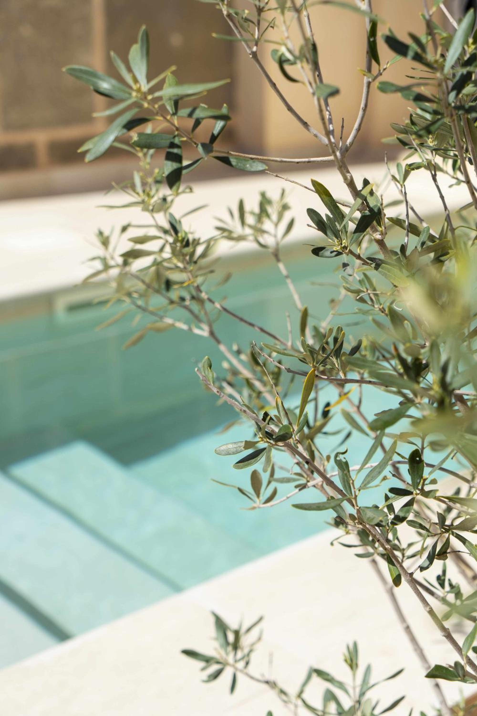 Atrium Suites Mallorca