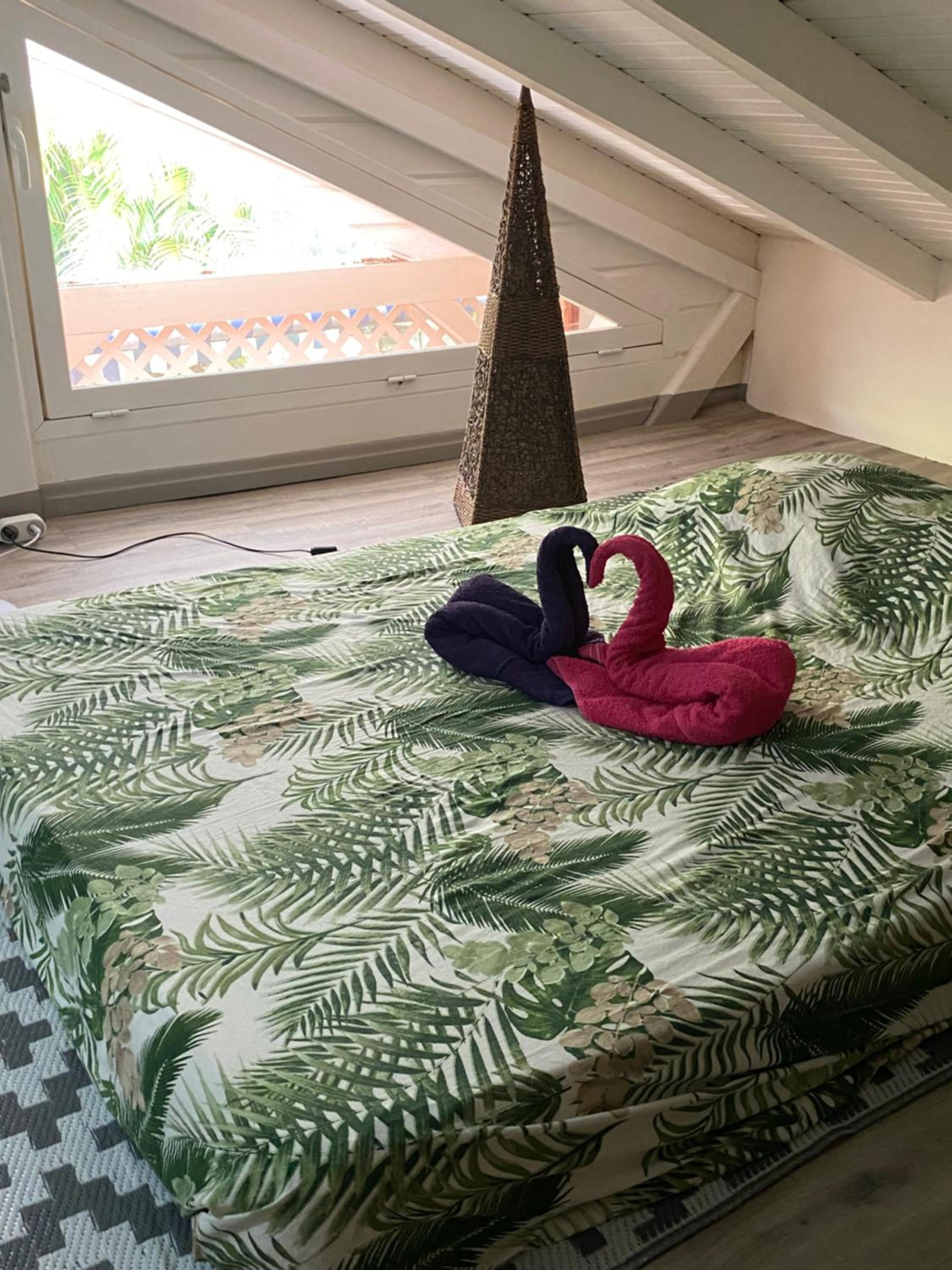 Bwa Kanel - Logement moderne avec SPA- Venez profiter d'une parenthèse de bien-être !