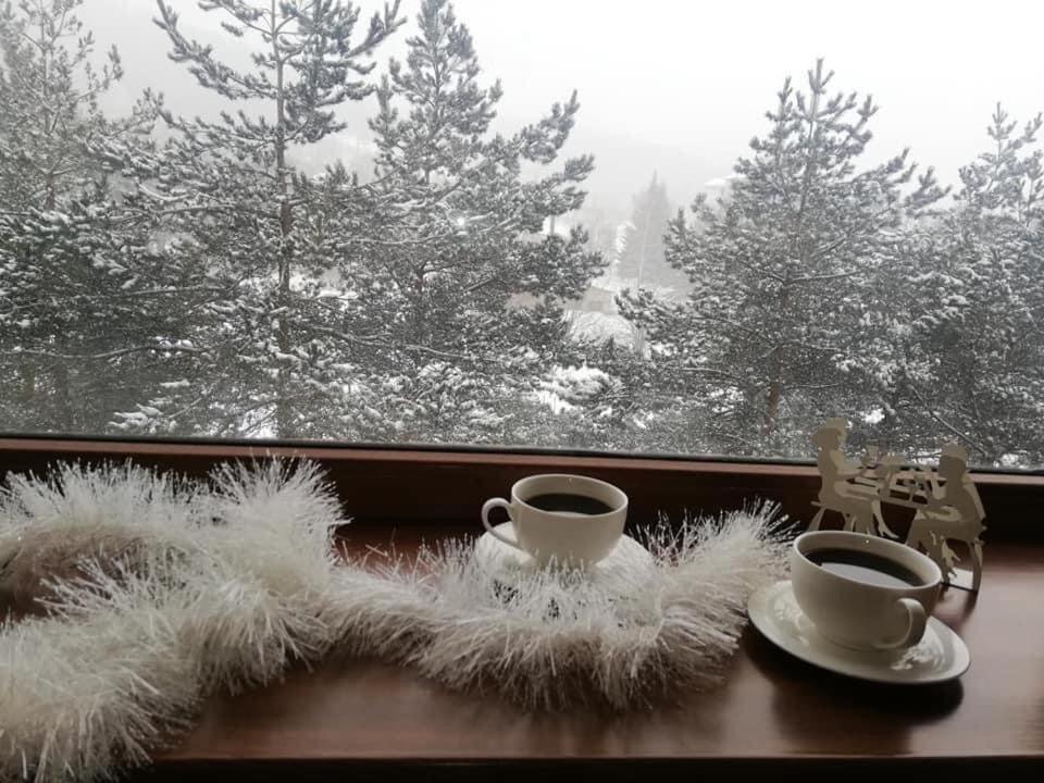 My Sweet Home in Bakuriani