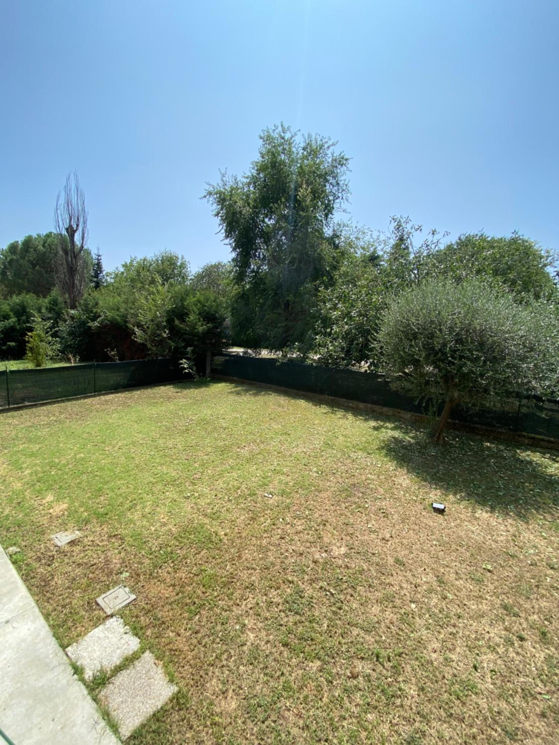 Photo 33