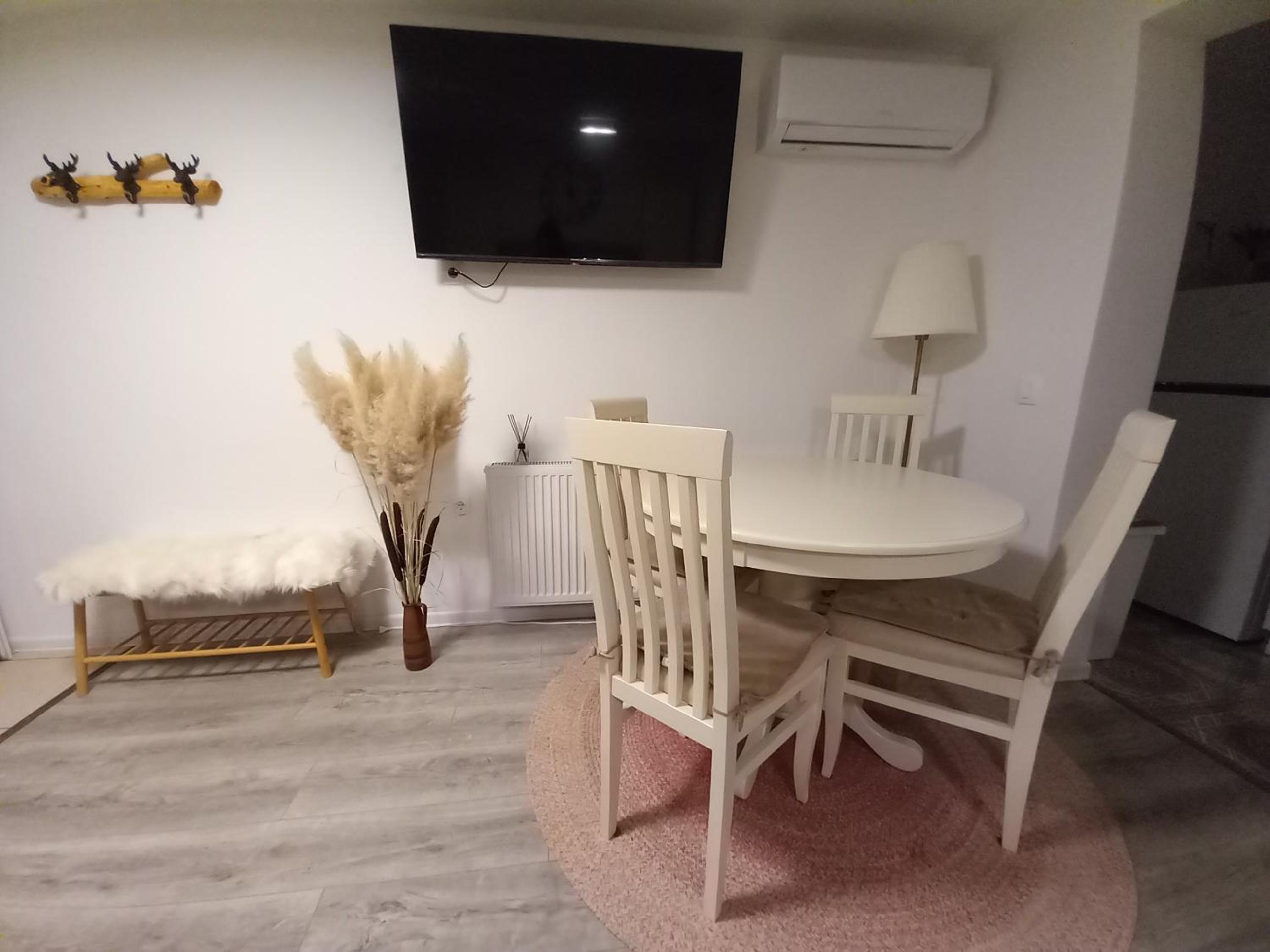 Studio apartman Singer view 4