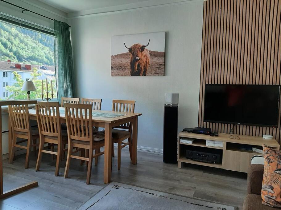 Apartment 2 sleeping rooms in Rjukan view 5