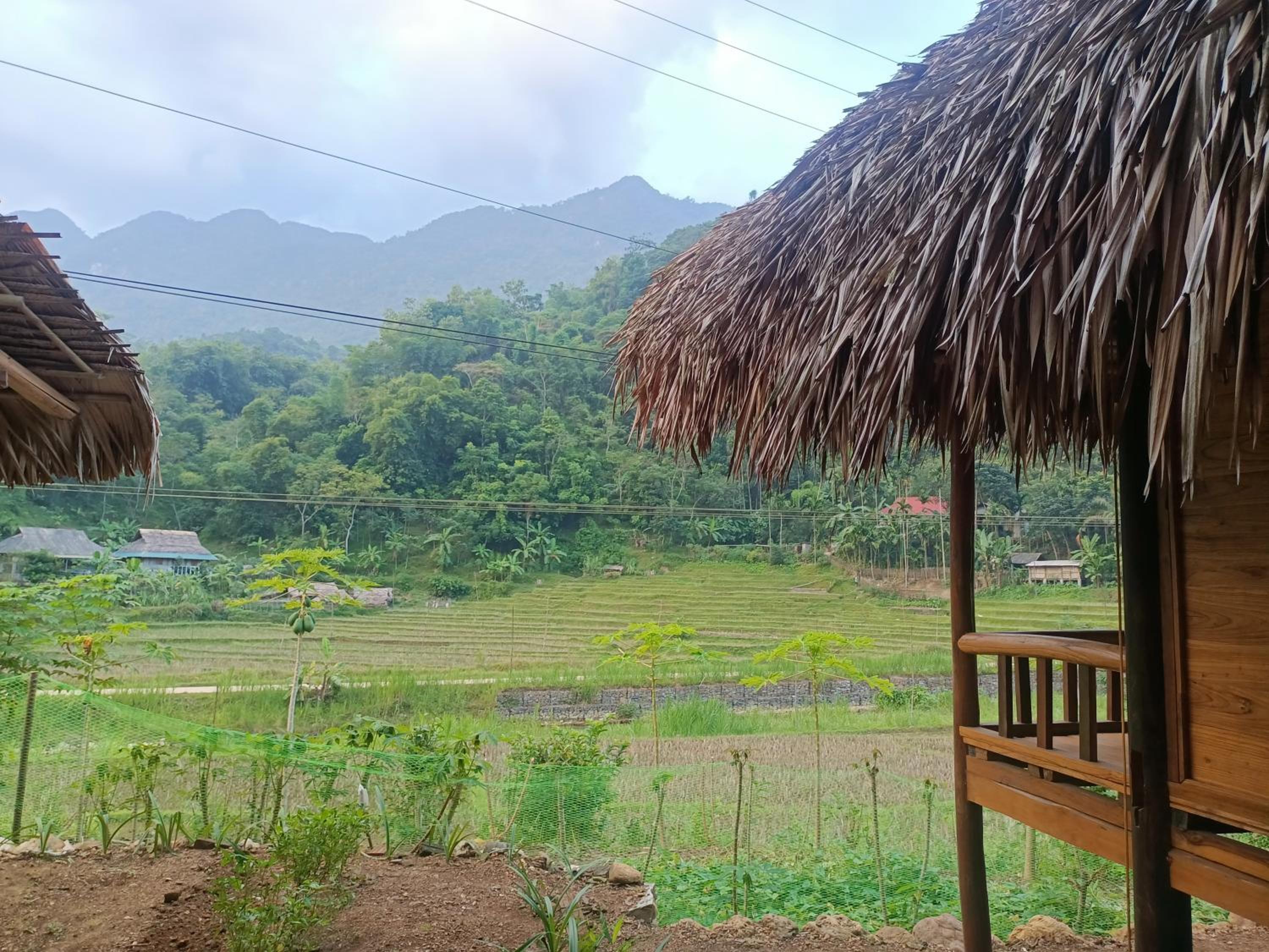 Puluong homestay3 view 4
