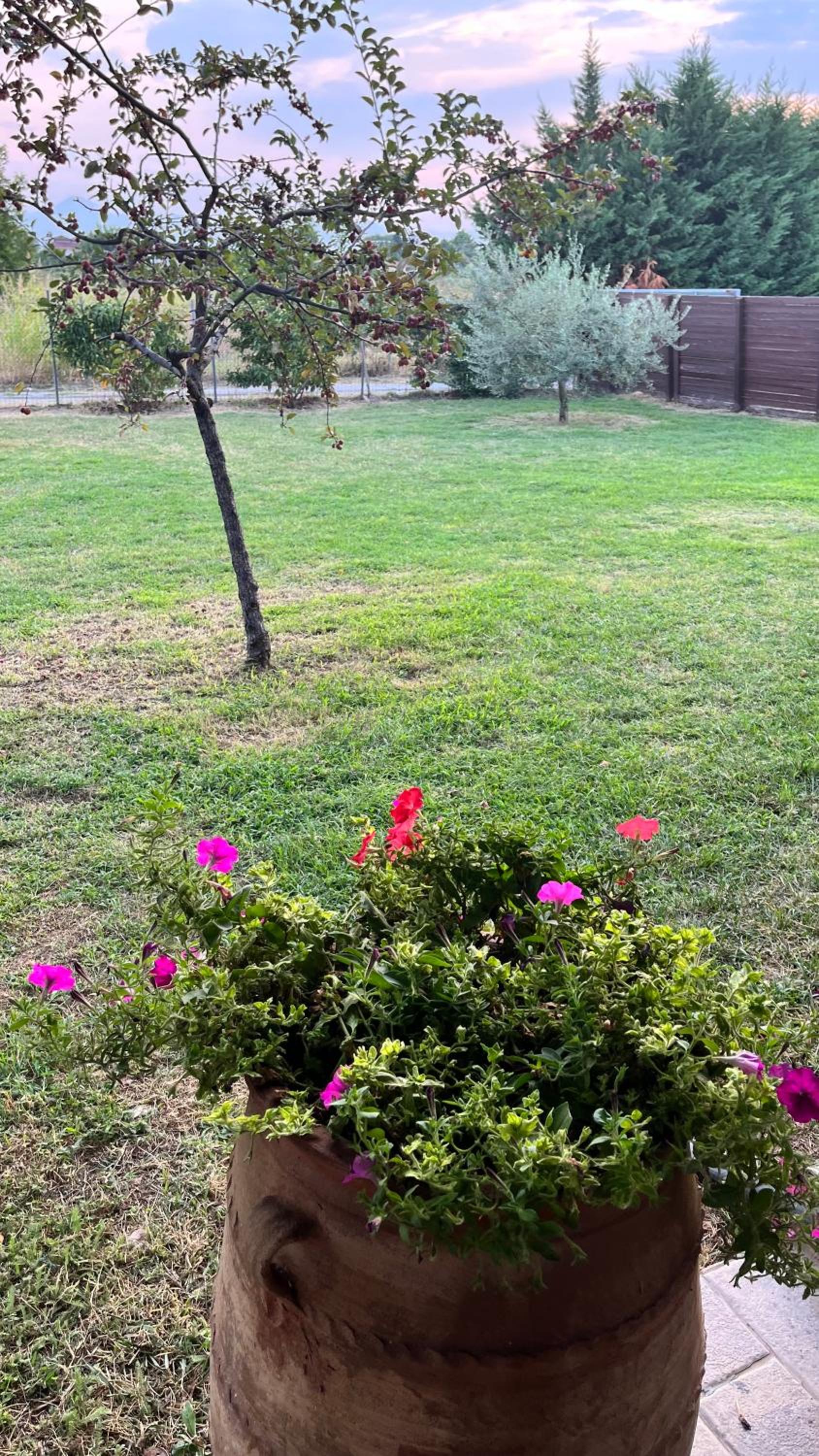 Photo 26