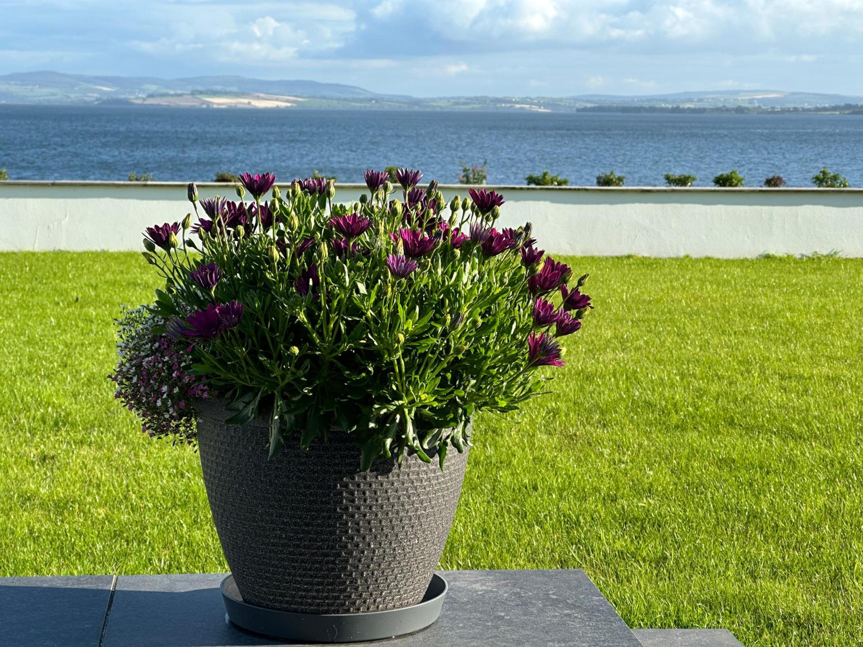 Sea Vista - Rathmullan view 4