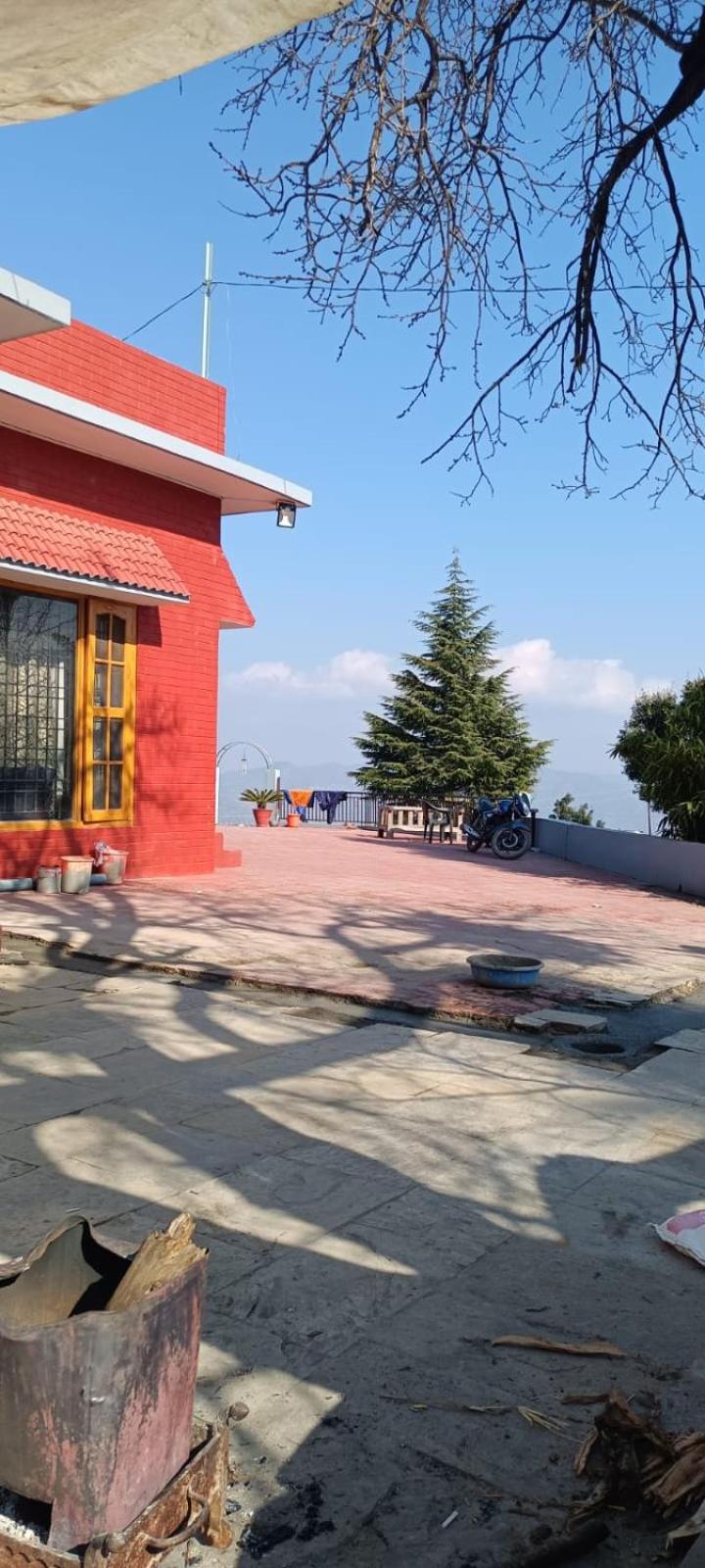 Pink wood Homestays