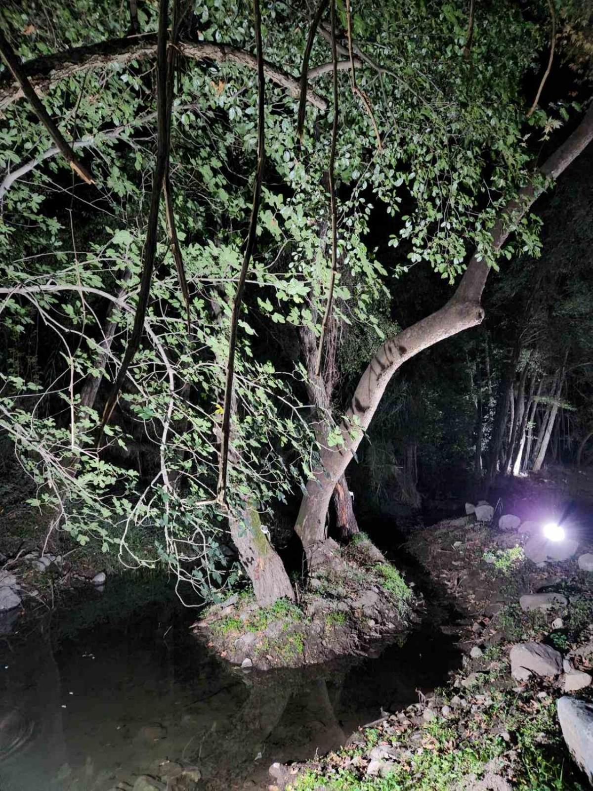 River Glamping Kalopanayiotis