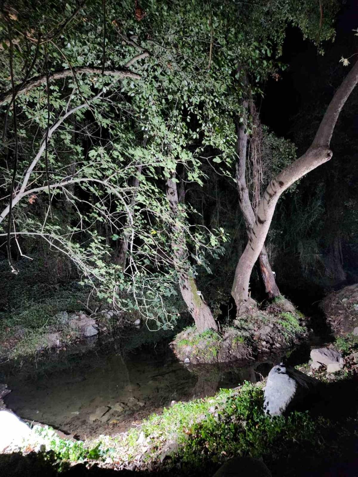 River Glamping Kalopanayiotis