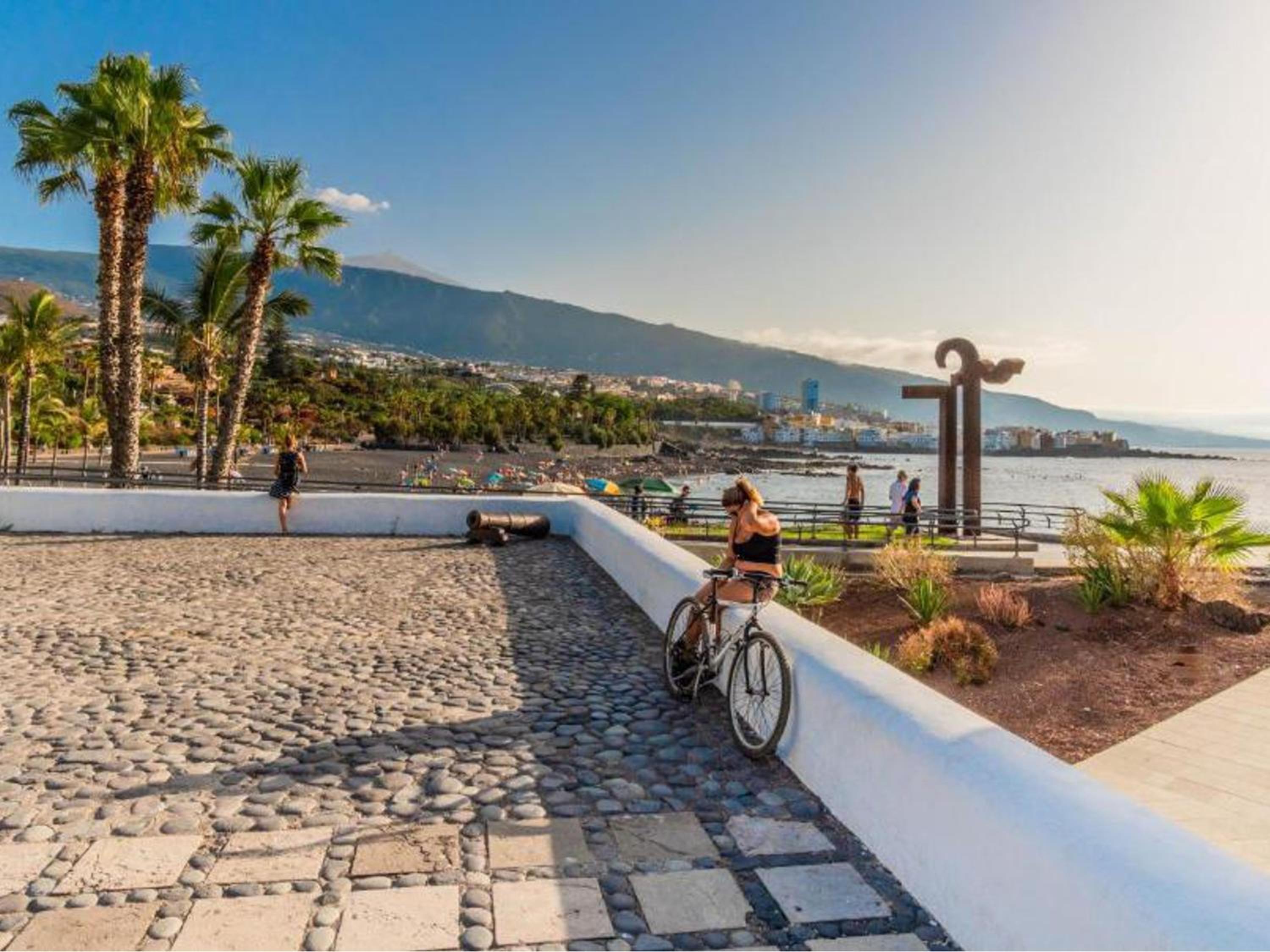 Live Puerto Valle Luz view 2