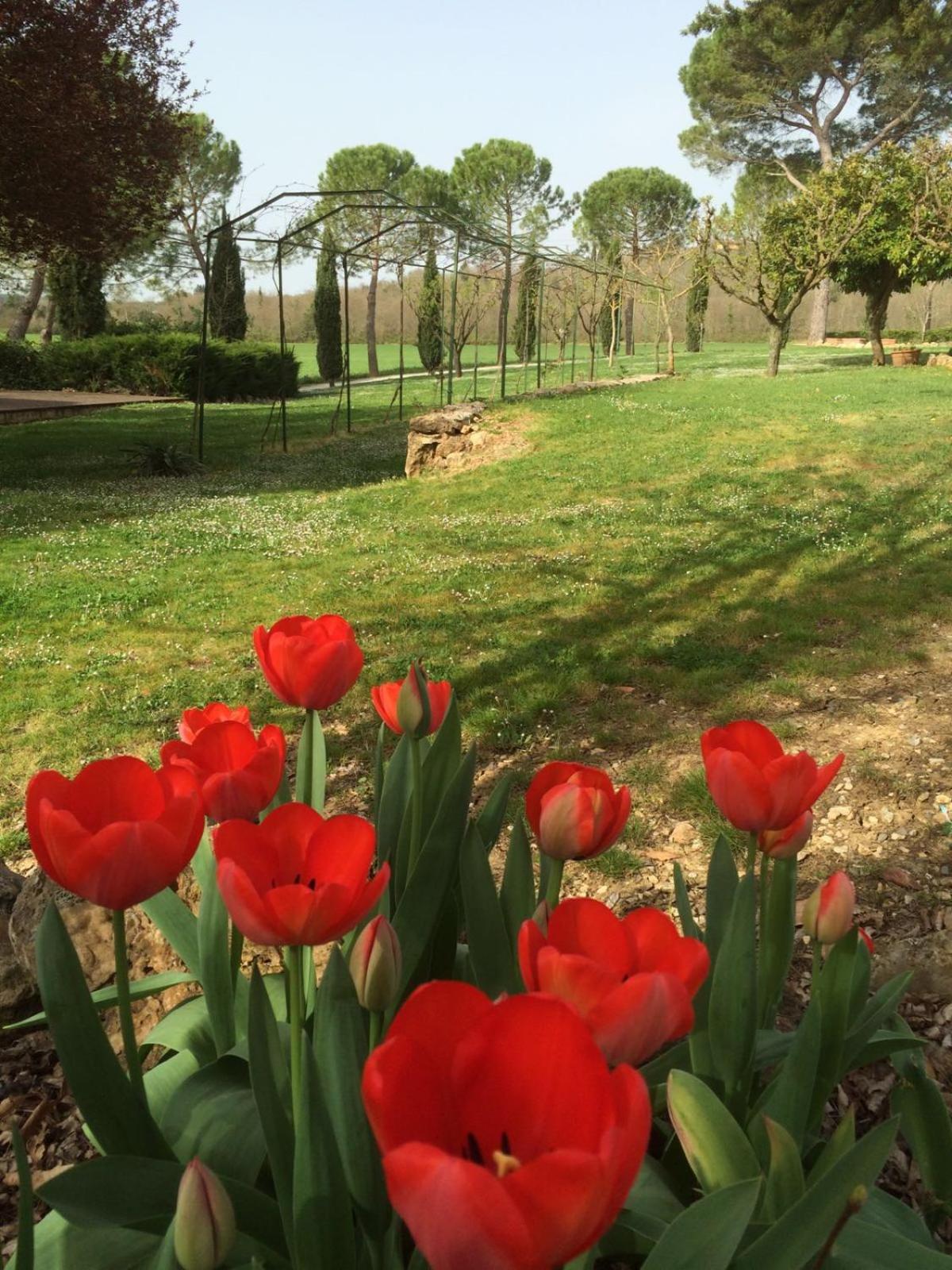 Fattoria Agriturismo Nerbona