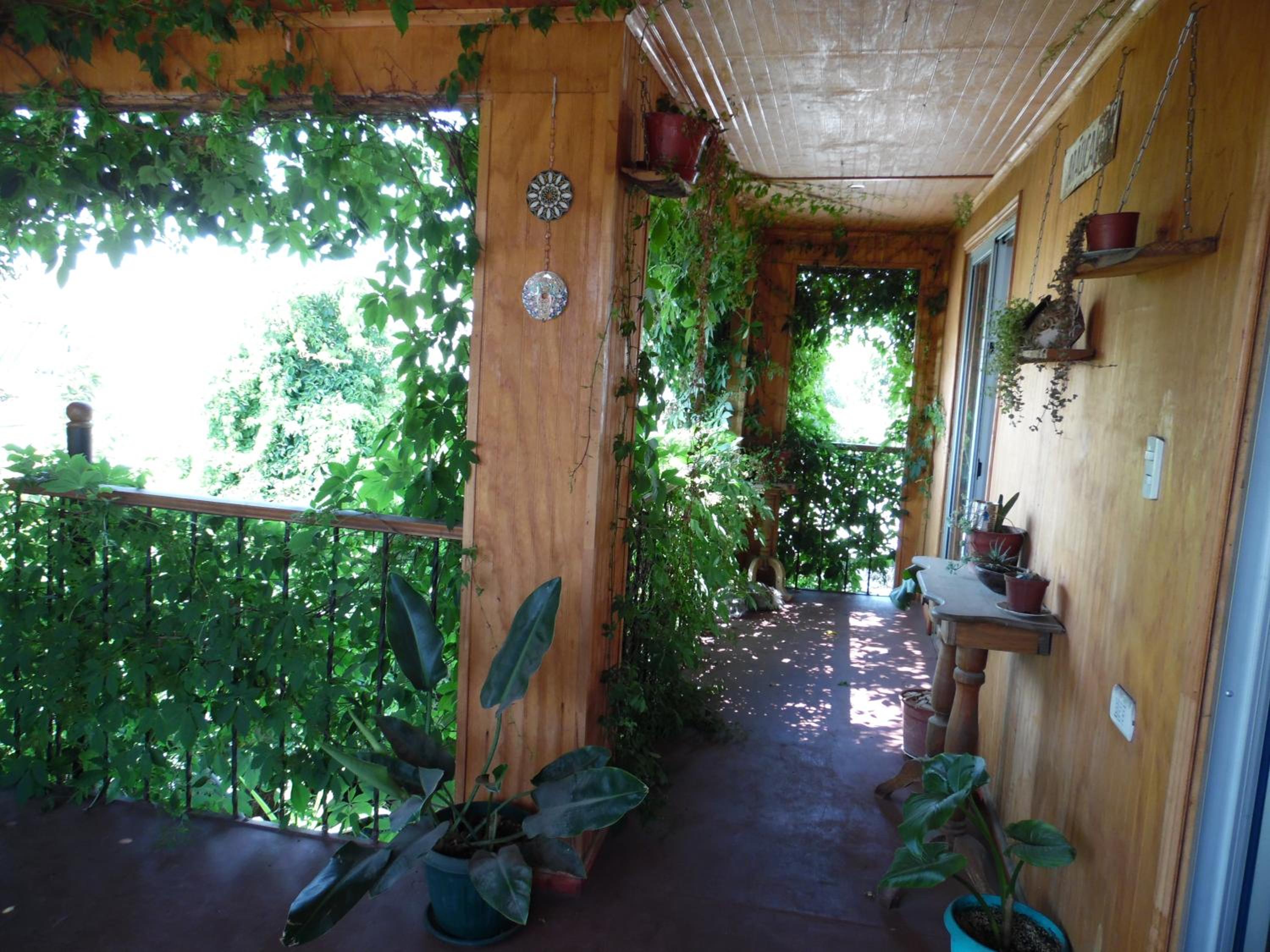 Casa Rosa Hostel