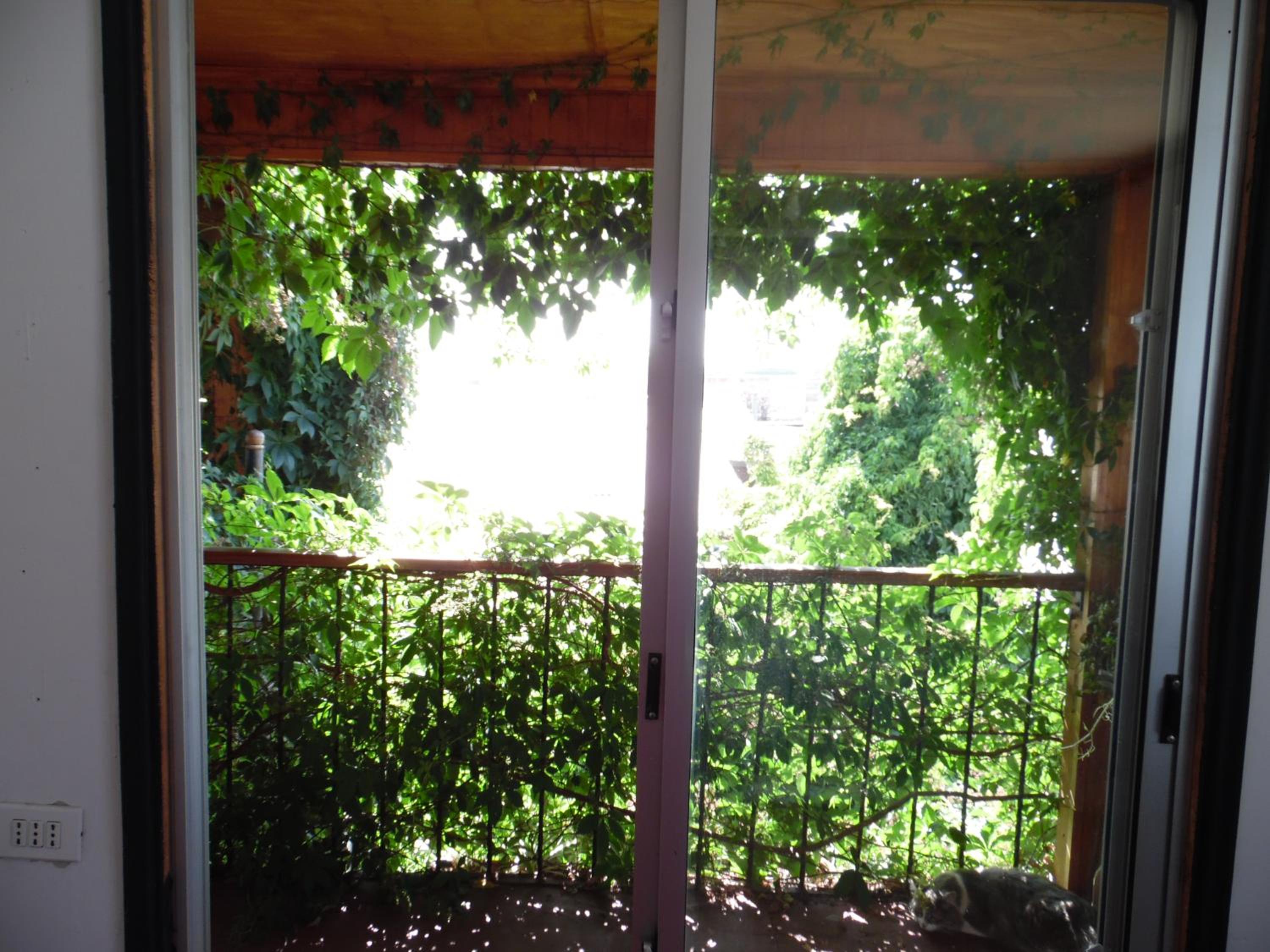 Casa Rosa Hostel