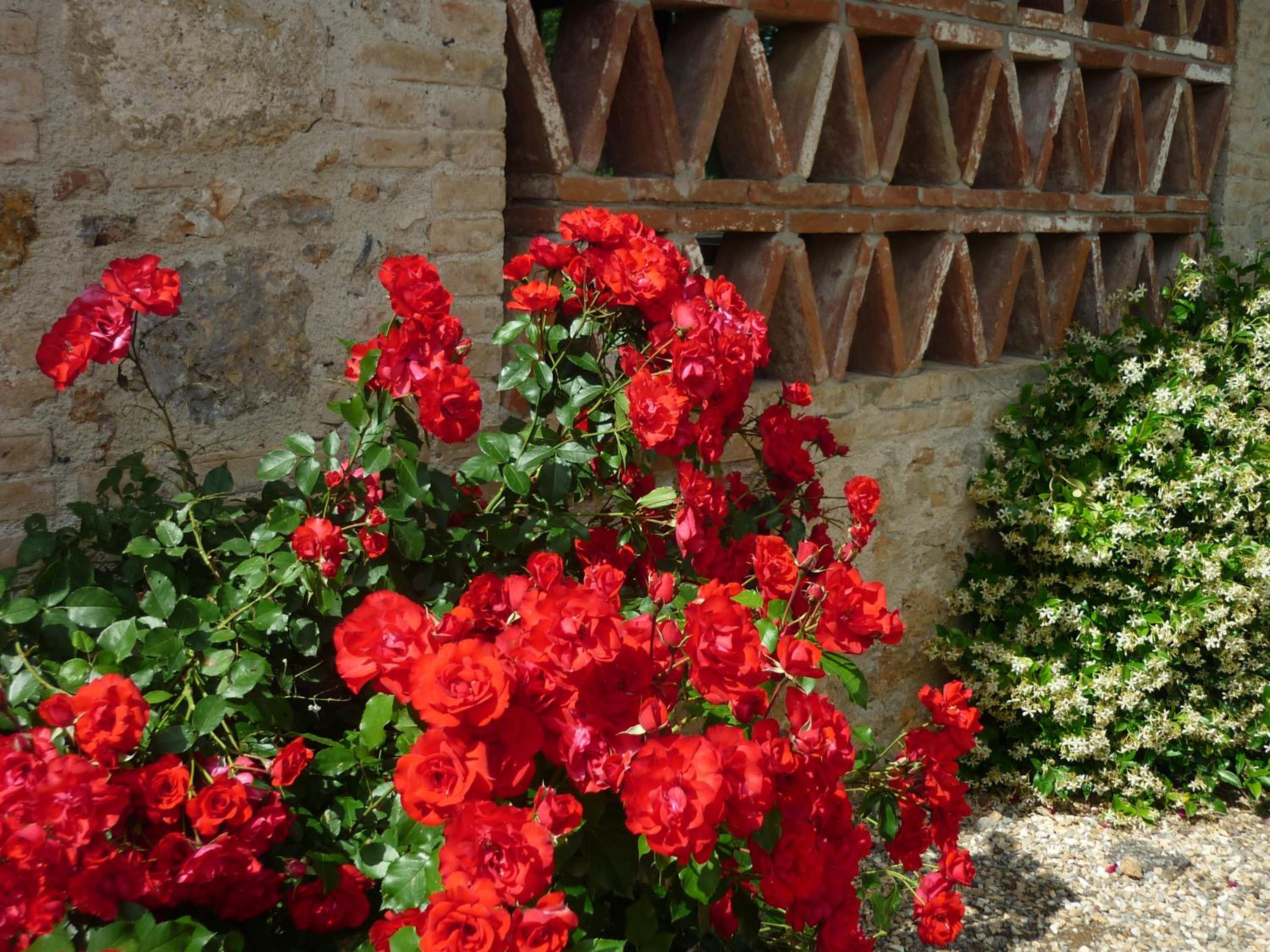 Fattoria Agriturismo Nerbona