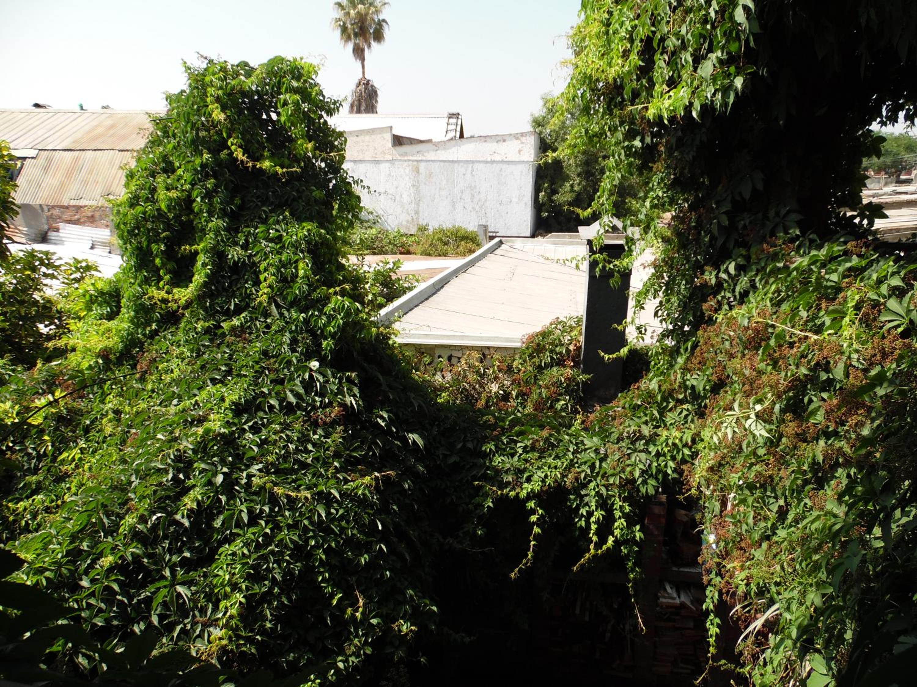 Casa Rosa Hostel
