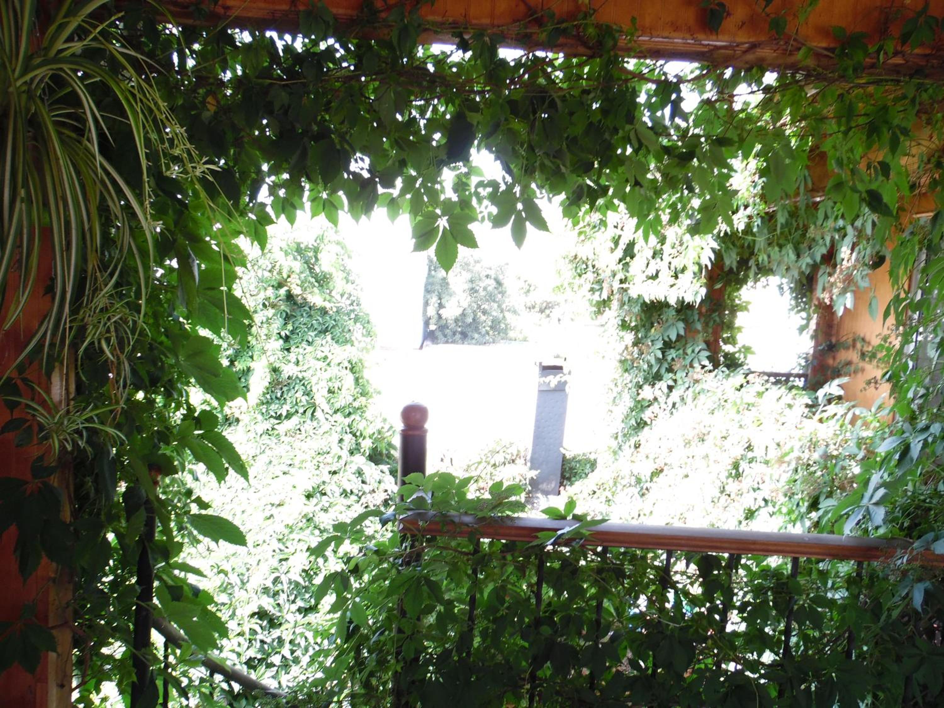 Casa Rosa Hostel