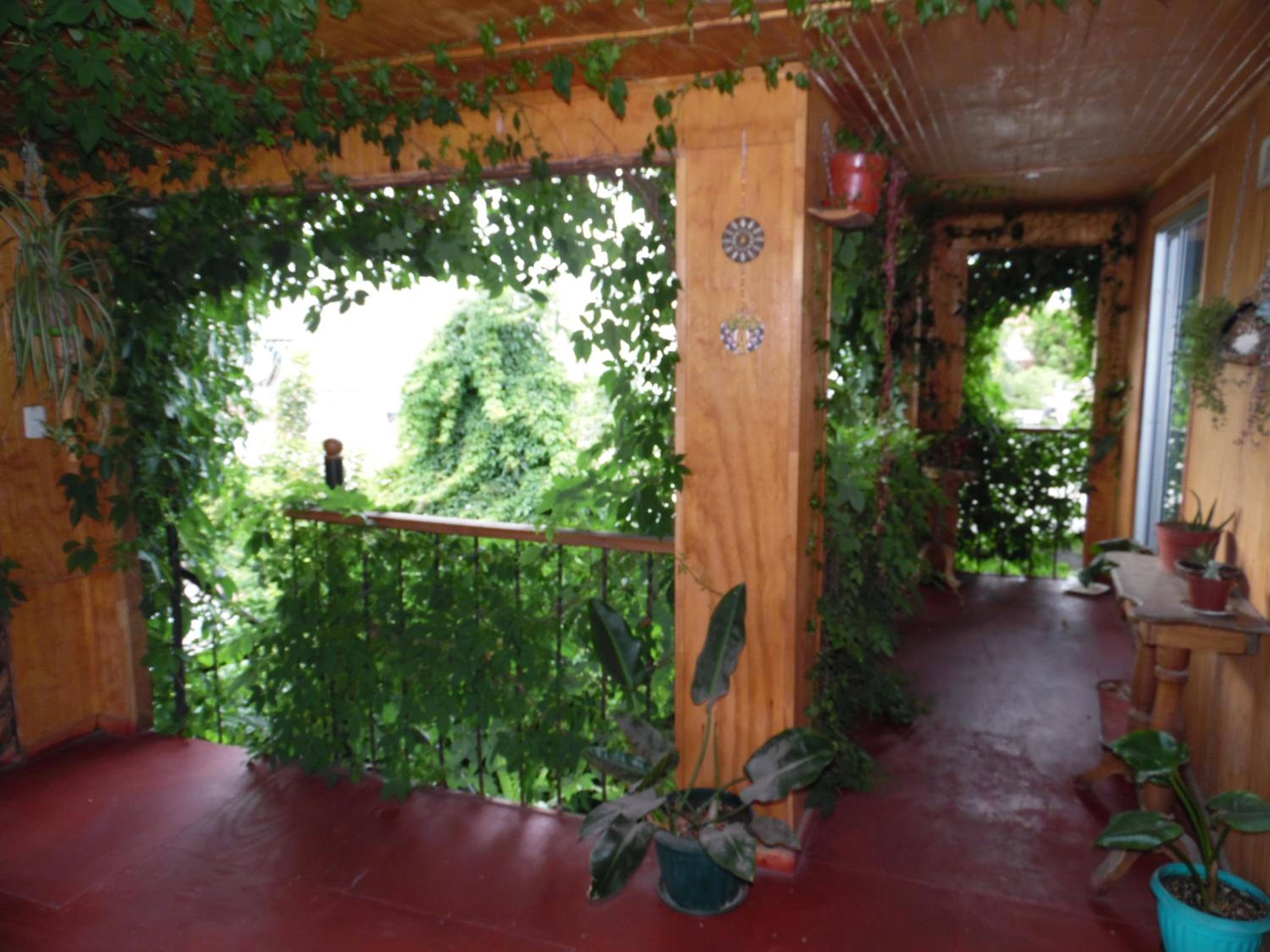 Casa Rosa Hostel