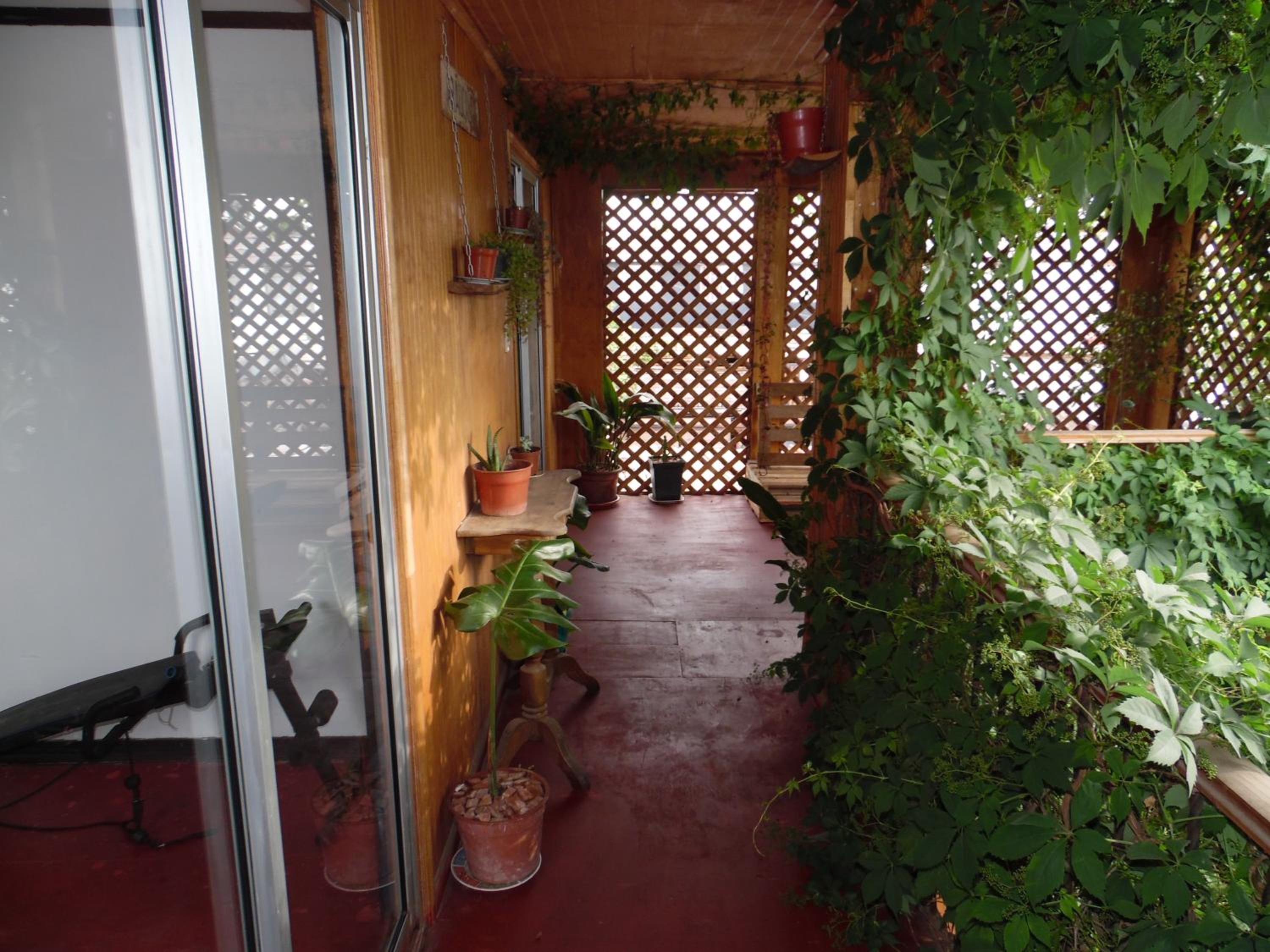 Casa Rosa Hostel