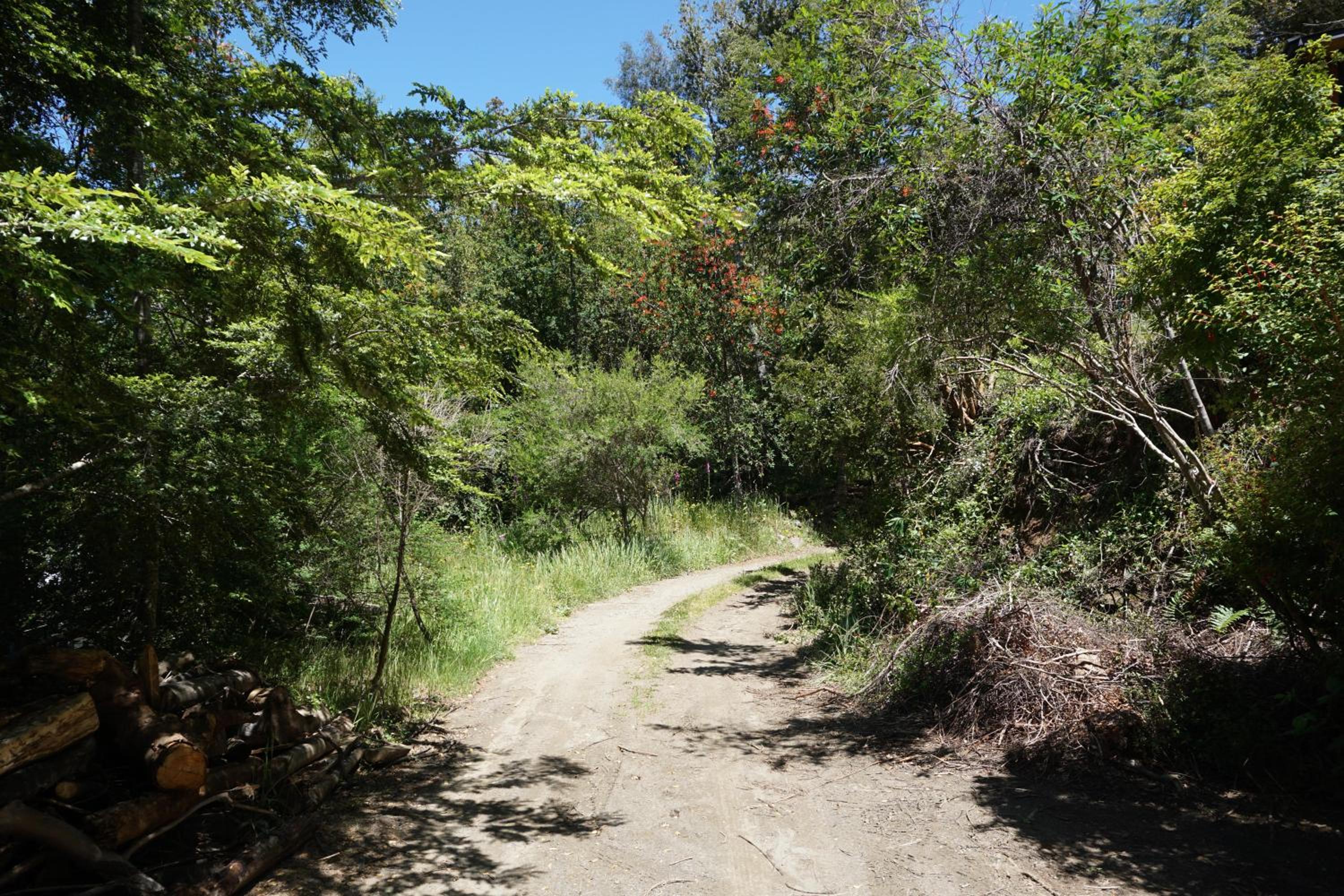 Cabaña compartida en santuario de la naturaleza Rio Cutipay