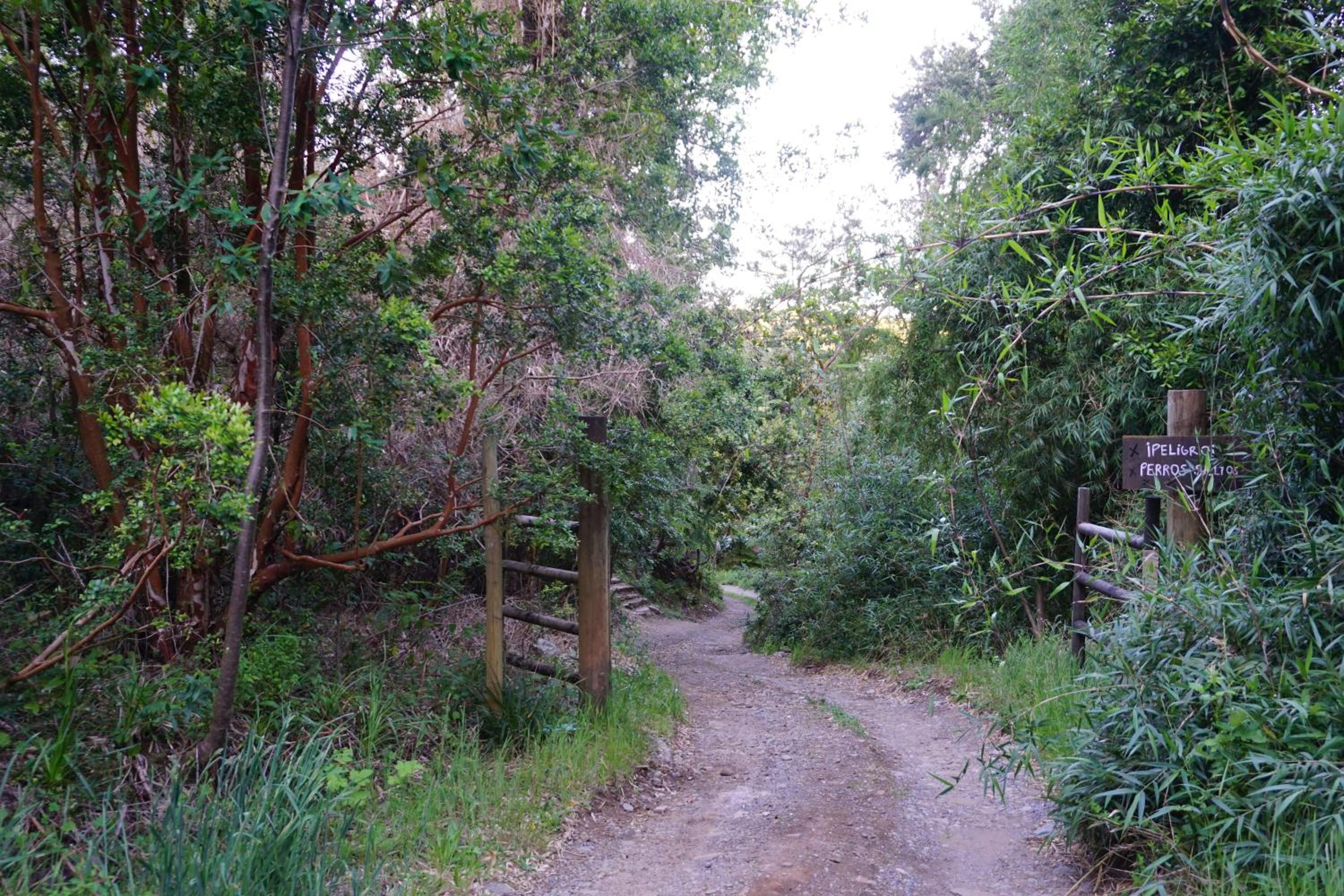 Cabaña compartida en santuario de la naturaleza Rio Cutipay