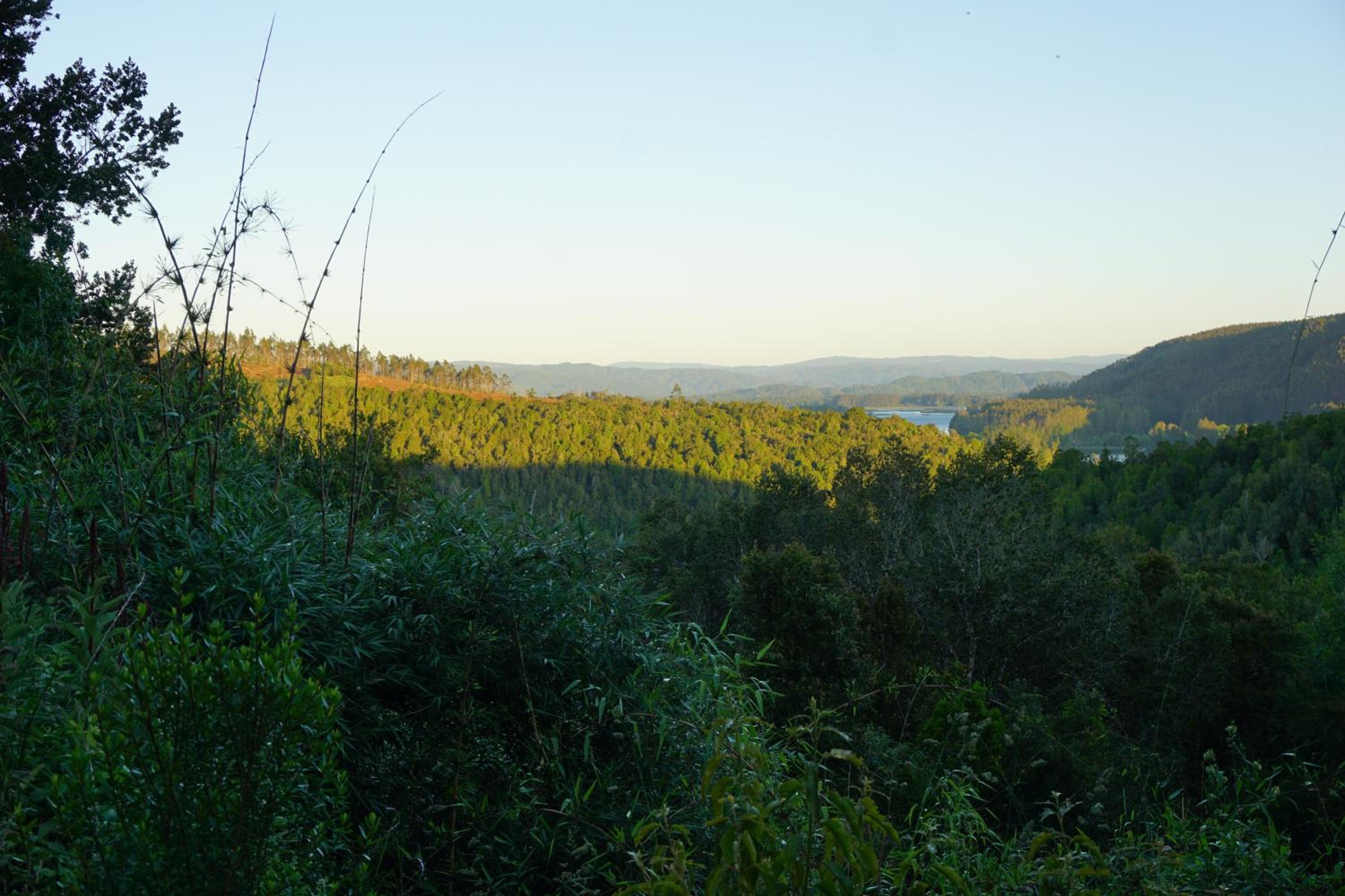 Cabaña compartida en santuario de la naturaleza Rio Cutipay