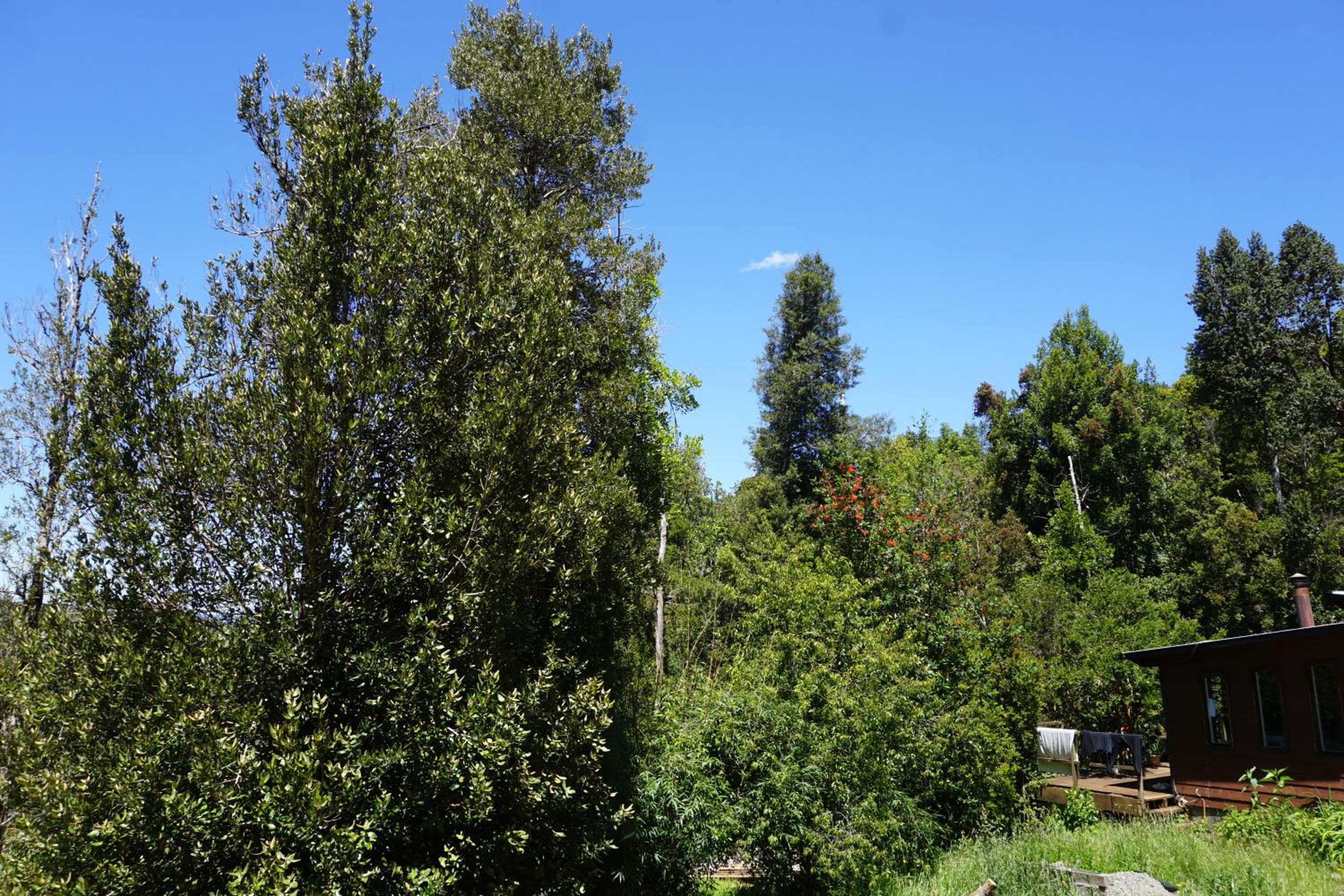 Cabaña compartida en santuario de la naturaleza Rio Cutipay