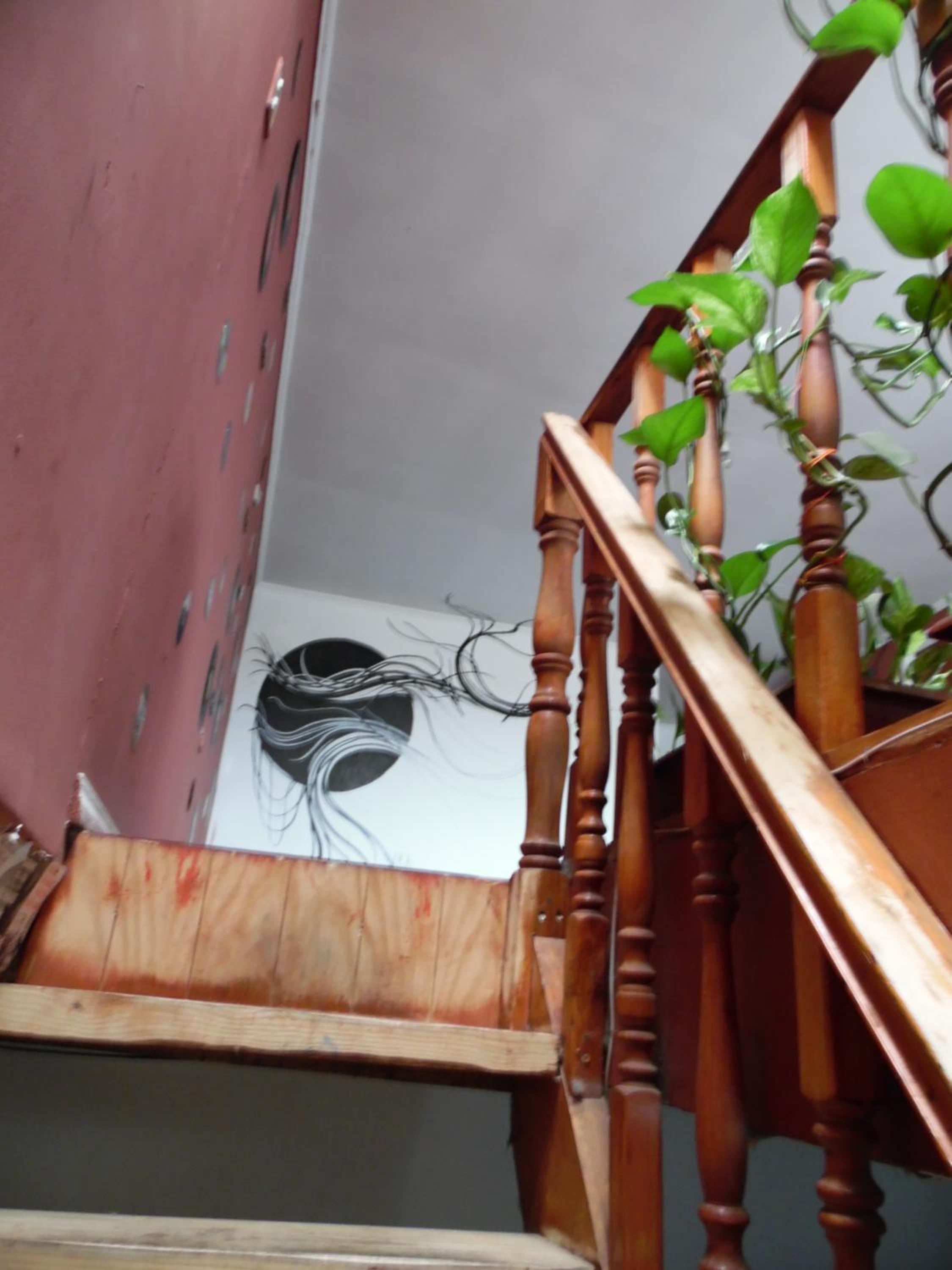 Casa Rosa Hostel