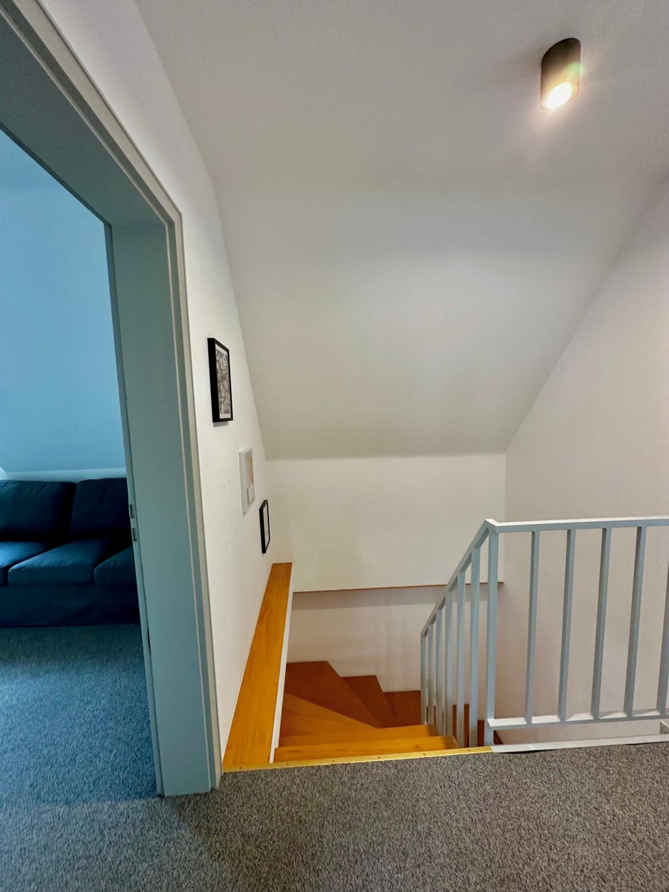 Hirsch Appartements