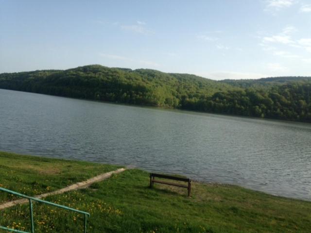 Photo 25
