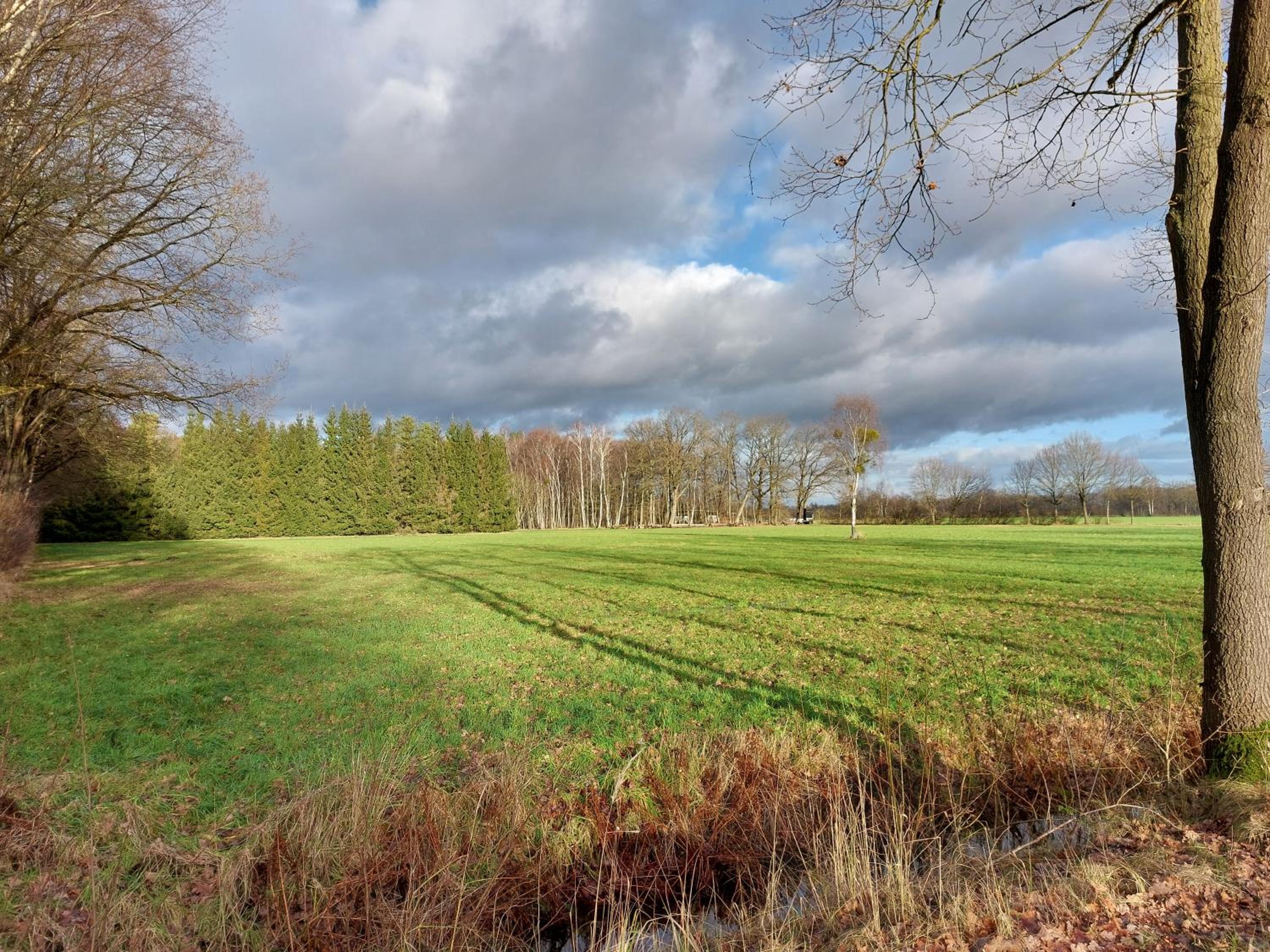 Ferienwohnung am Drömling Südheide - Gerda