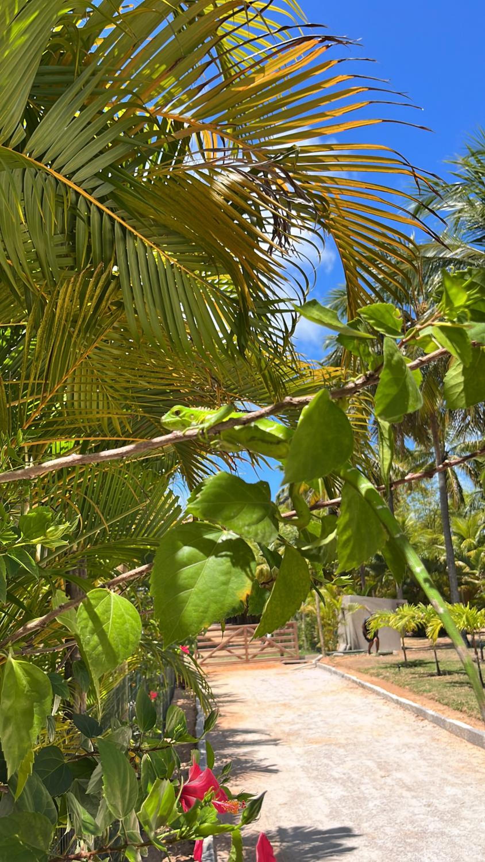 Maracajau Luxury Home - Villa-Mar-a-Villa