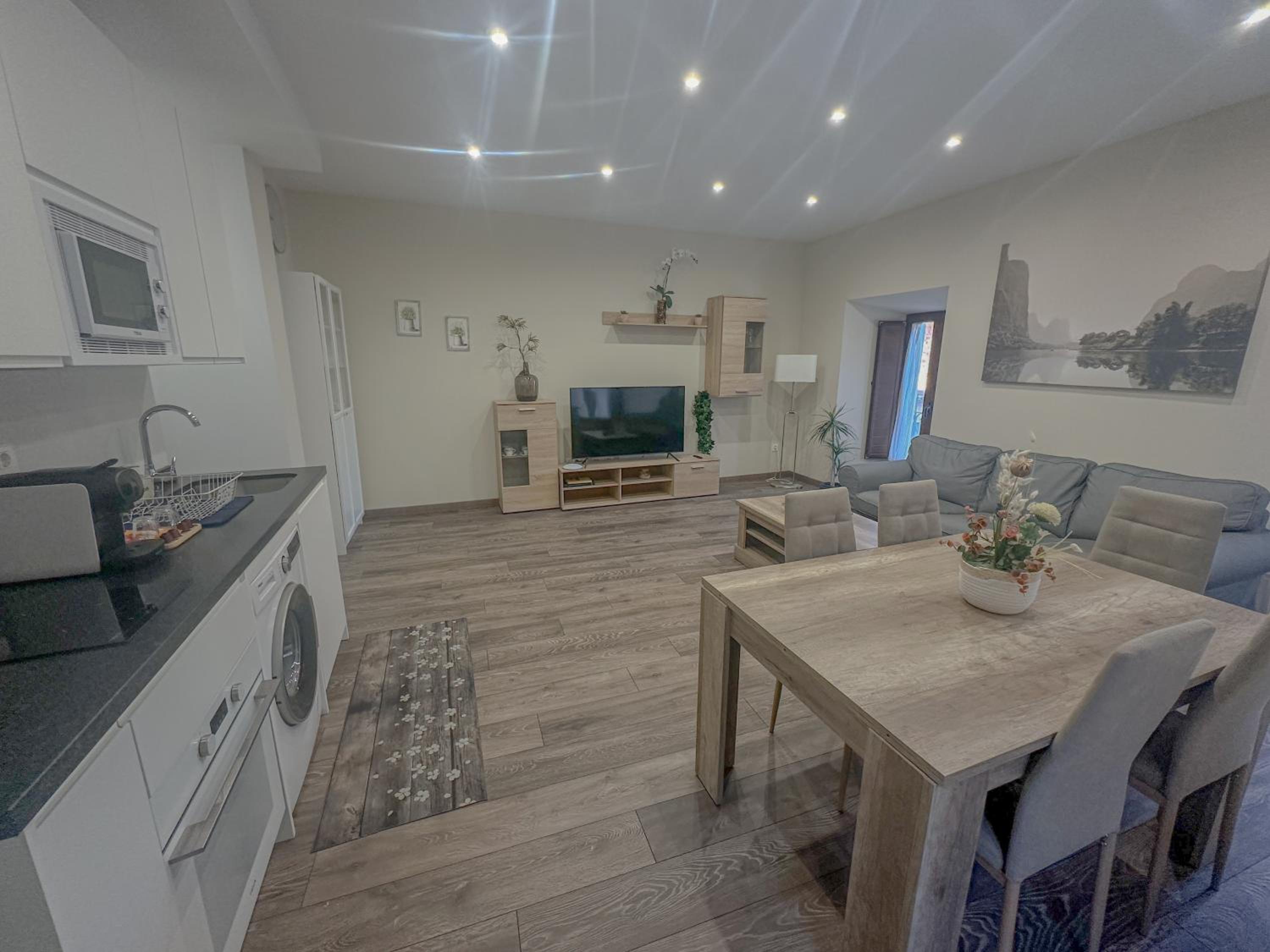 Apartamentos La Camelia