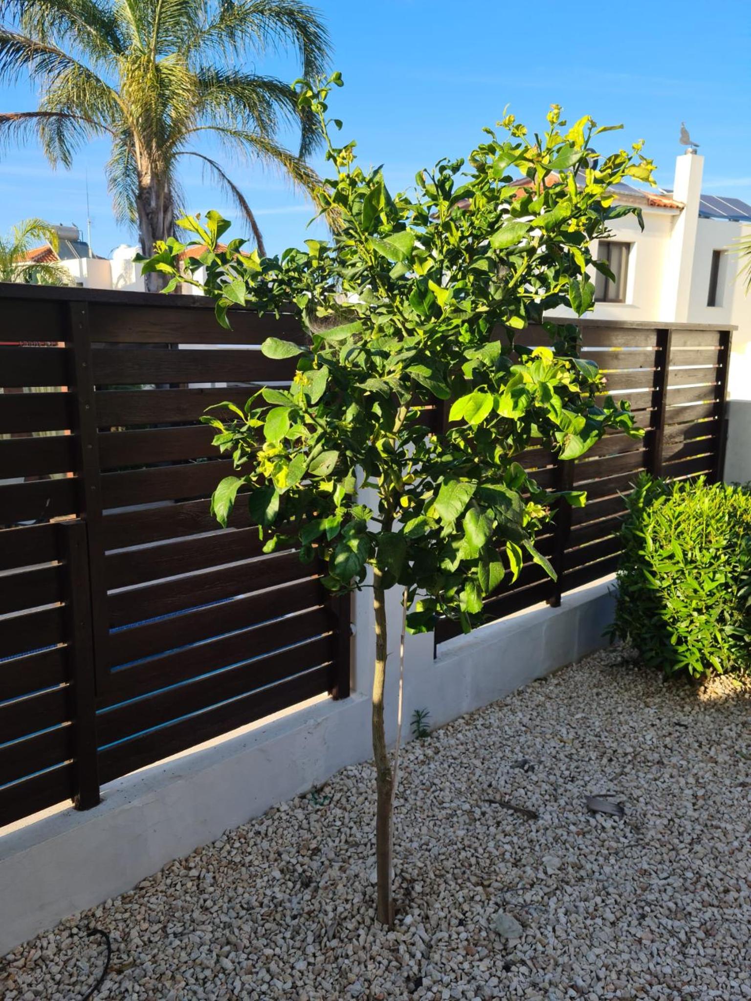 Villa Ocean Breeze