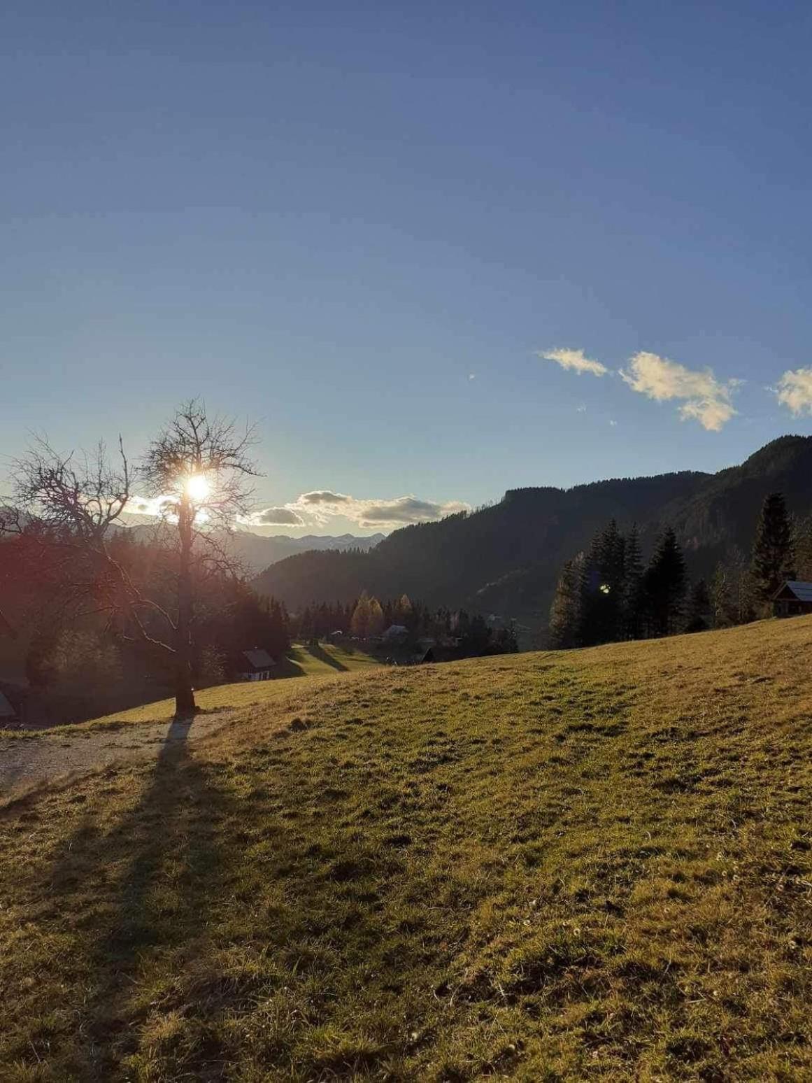 Počitniška hiša Jeklar view 5